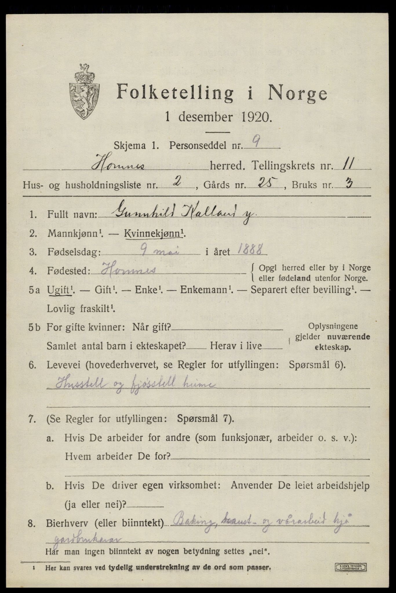 SAK, Folketelling 1920 for 0936 Hornnes herred, 1920, s. 2661