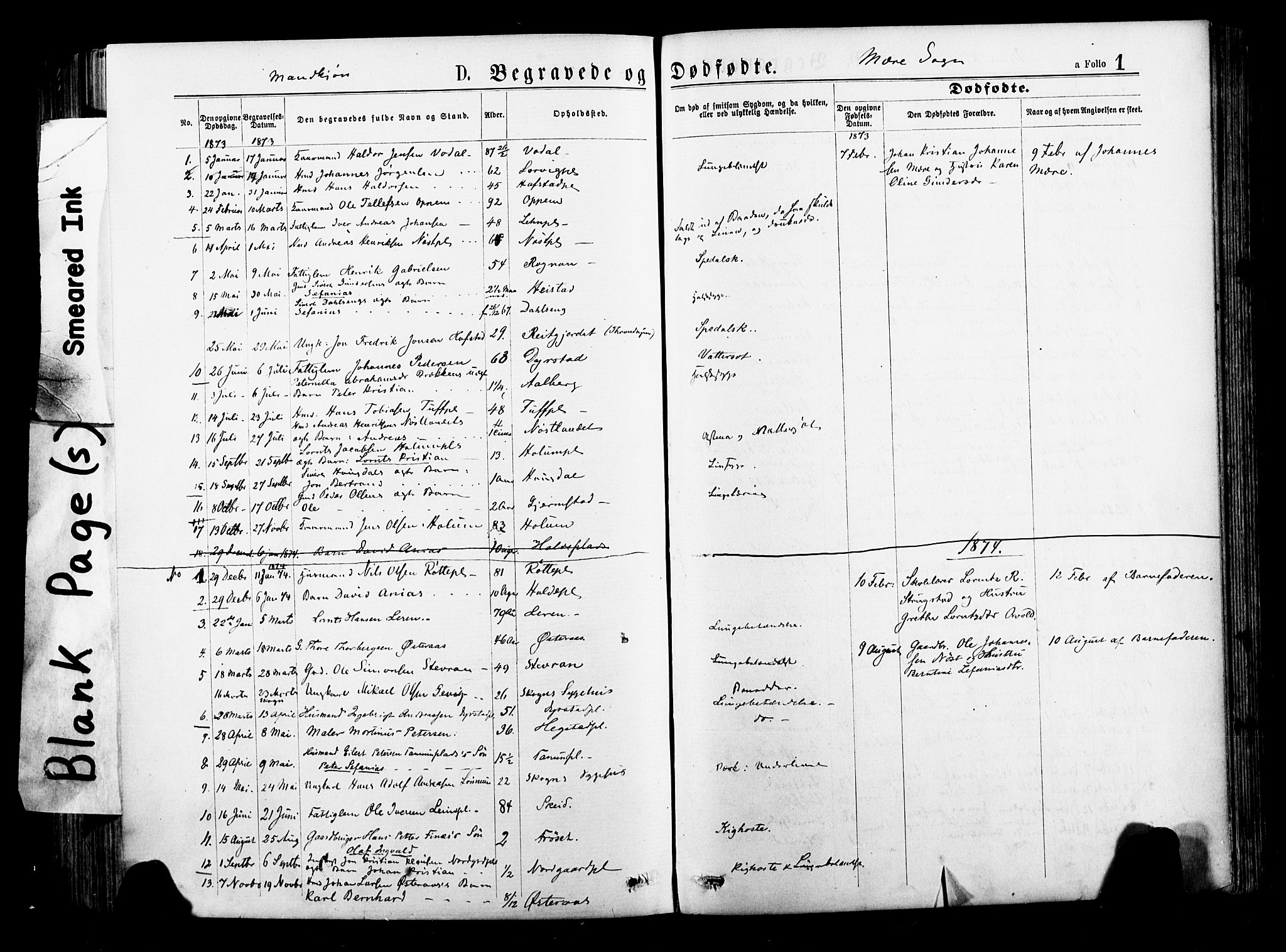 Ministerialprotokoller, klokkerbøker og fødselsregistre - Nord-Trøndelag, SAT/A-1458/735/L0348: Ministerialbok nr. 735A09 /1, 1873-1883, s. 1