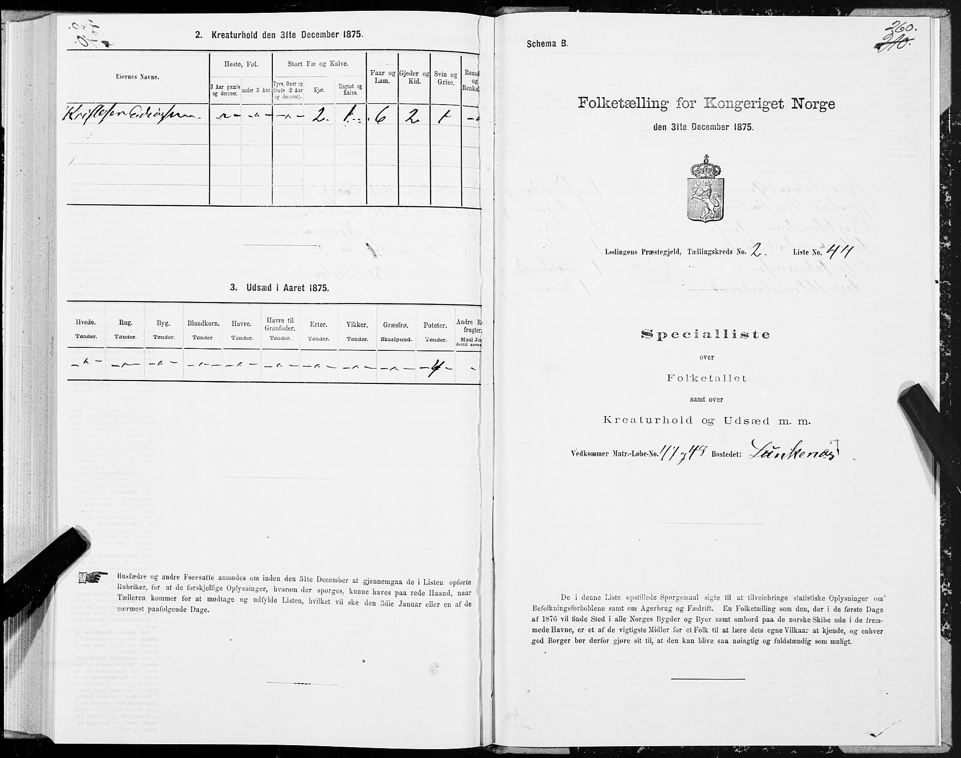 SAT, Folketelling 1875 for 1851P Lødingen prestegjeld, 1875, s. 1260