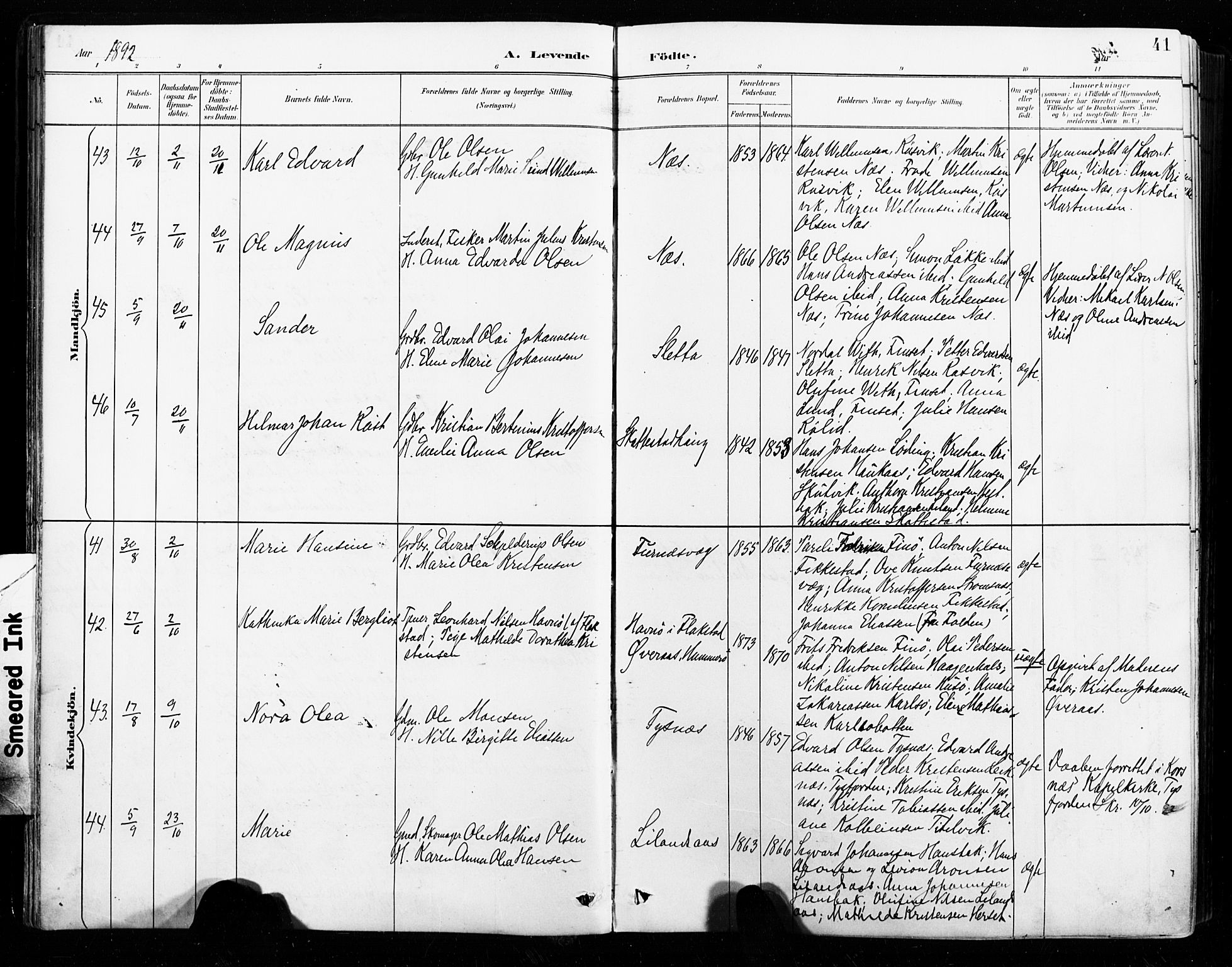 Ministerialprotokoller, klokkerbøker og fødselsregistre - Nordland, AV/SAT-A-1459/859/L0847: Ministerialbok nr. 859A07, 1890-1899, s. 41