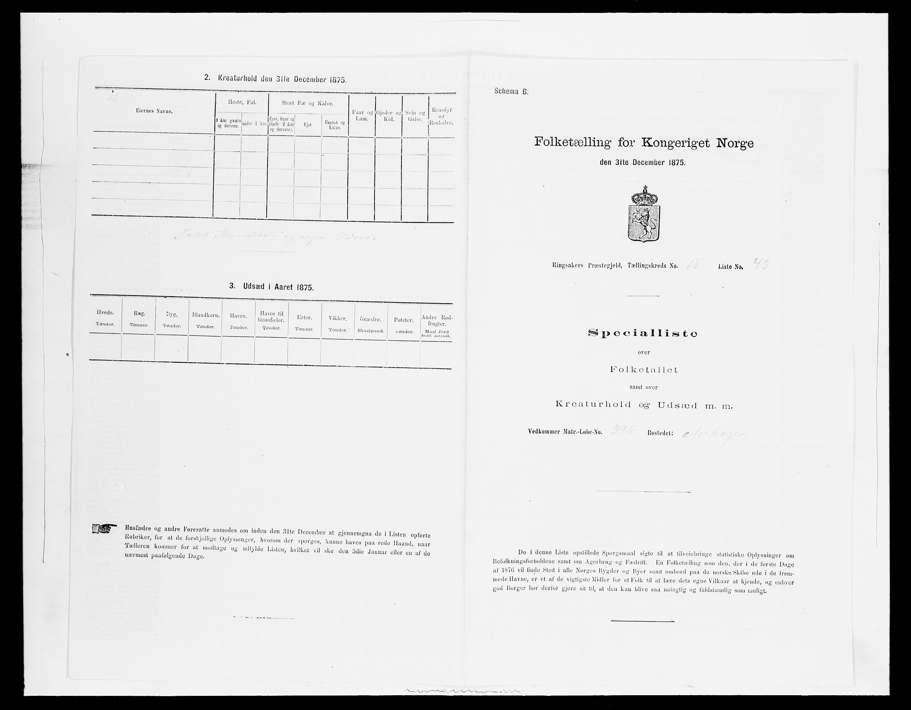 SAH, Folketelling 1875 for 0412P Ringsaker prestegjeld, 1875, s. 3116