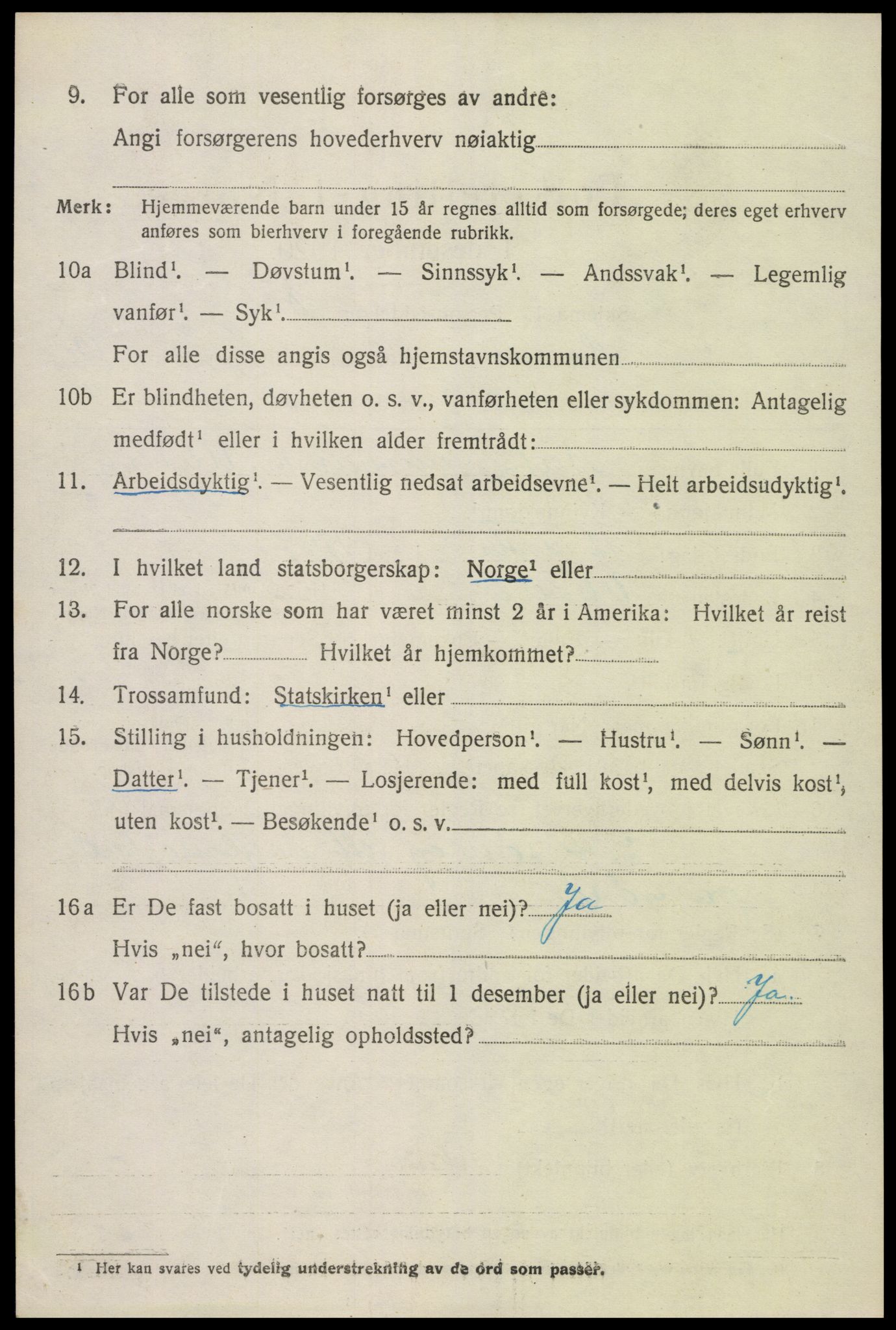 SAK, Folketelling 1920 for 0936 Hornnes herred, 1920, s. 2924
