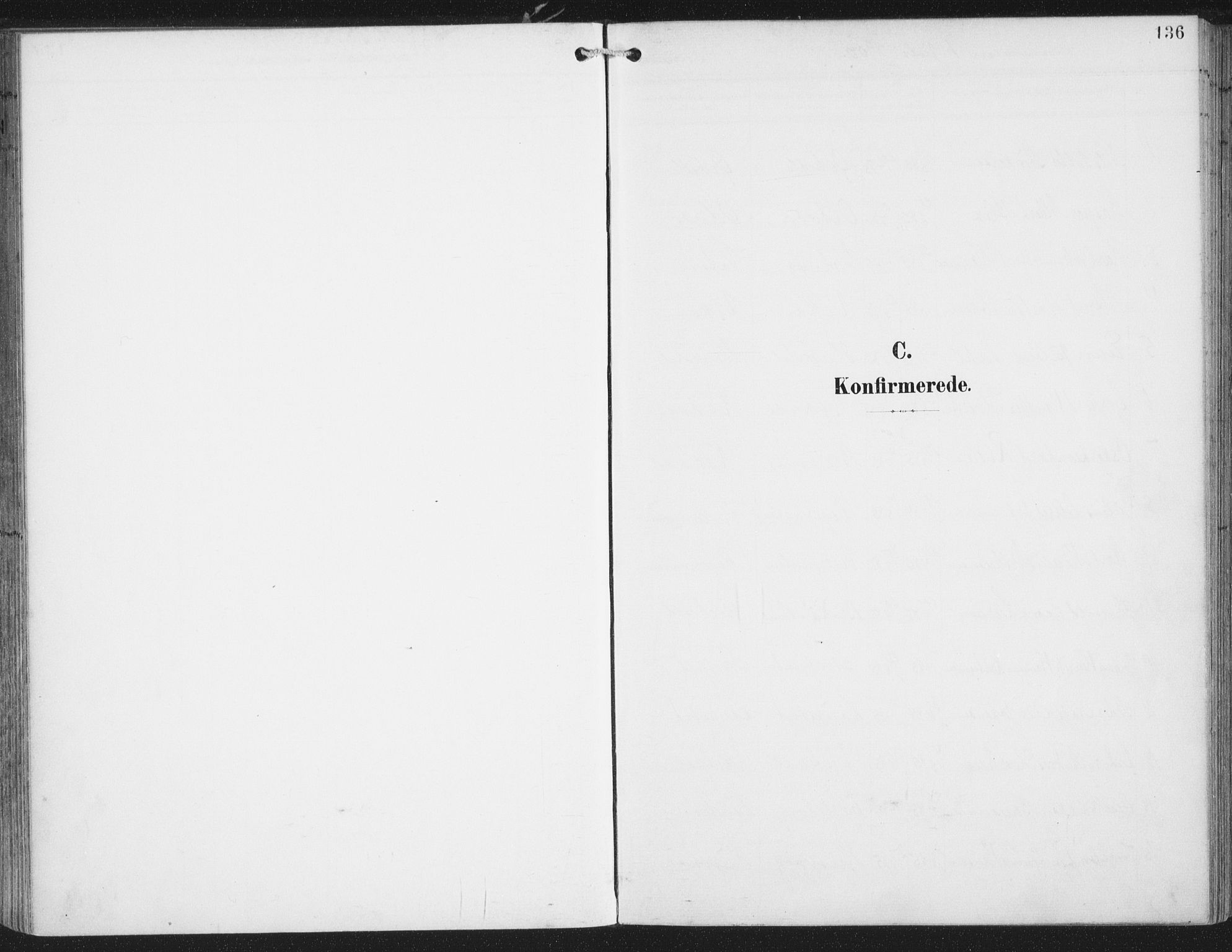 Ministerialprotokoller, klokkerbøker og fødselsregistre - Nordland, AV/SAT-A-1459/874/L1062: Ministerialbok nr. 874A06, 1899-1907, s. 136