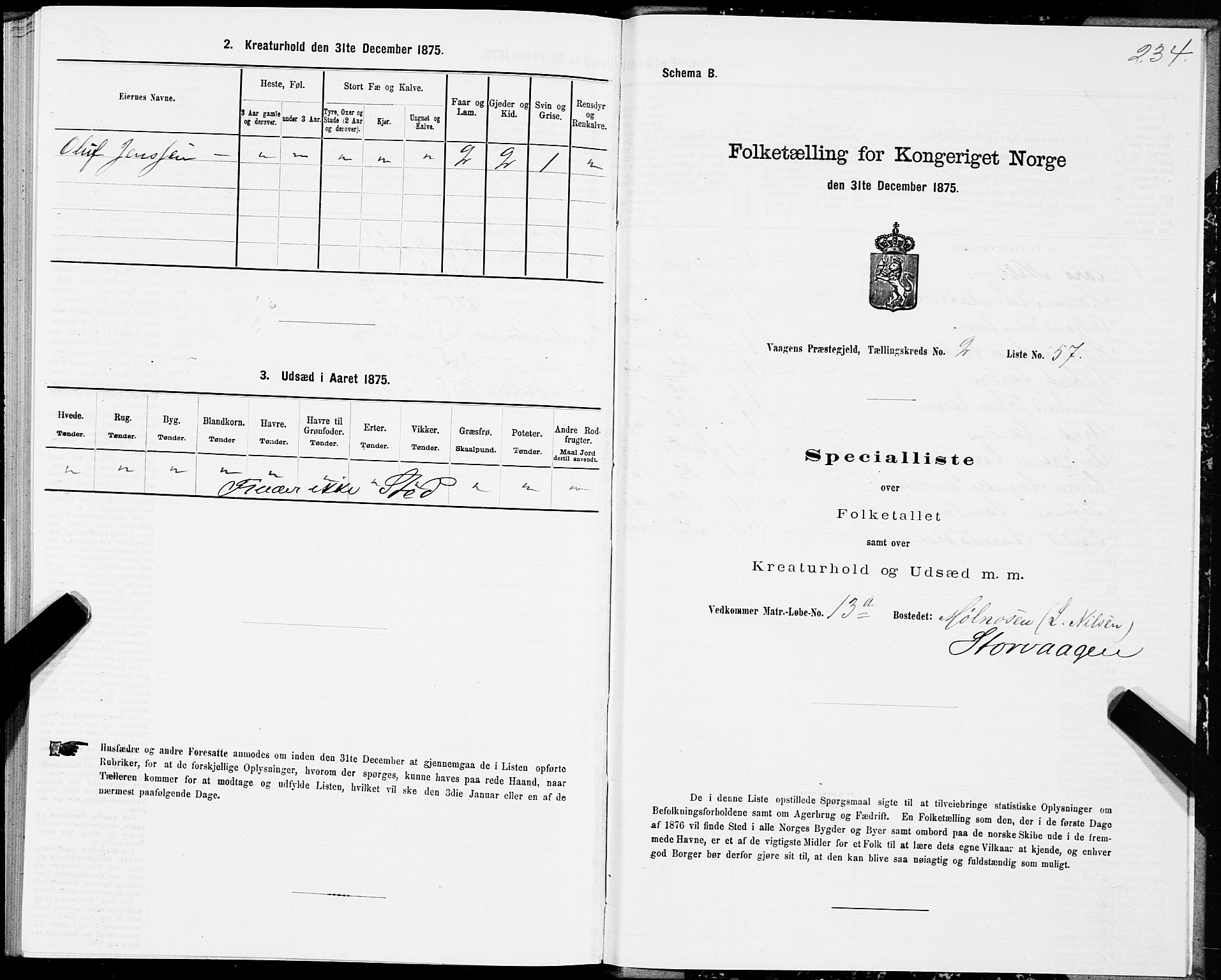 SAT, Folketelling 1875 for 1865P Vågan prestegjeld, 1875, s. 1234