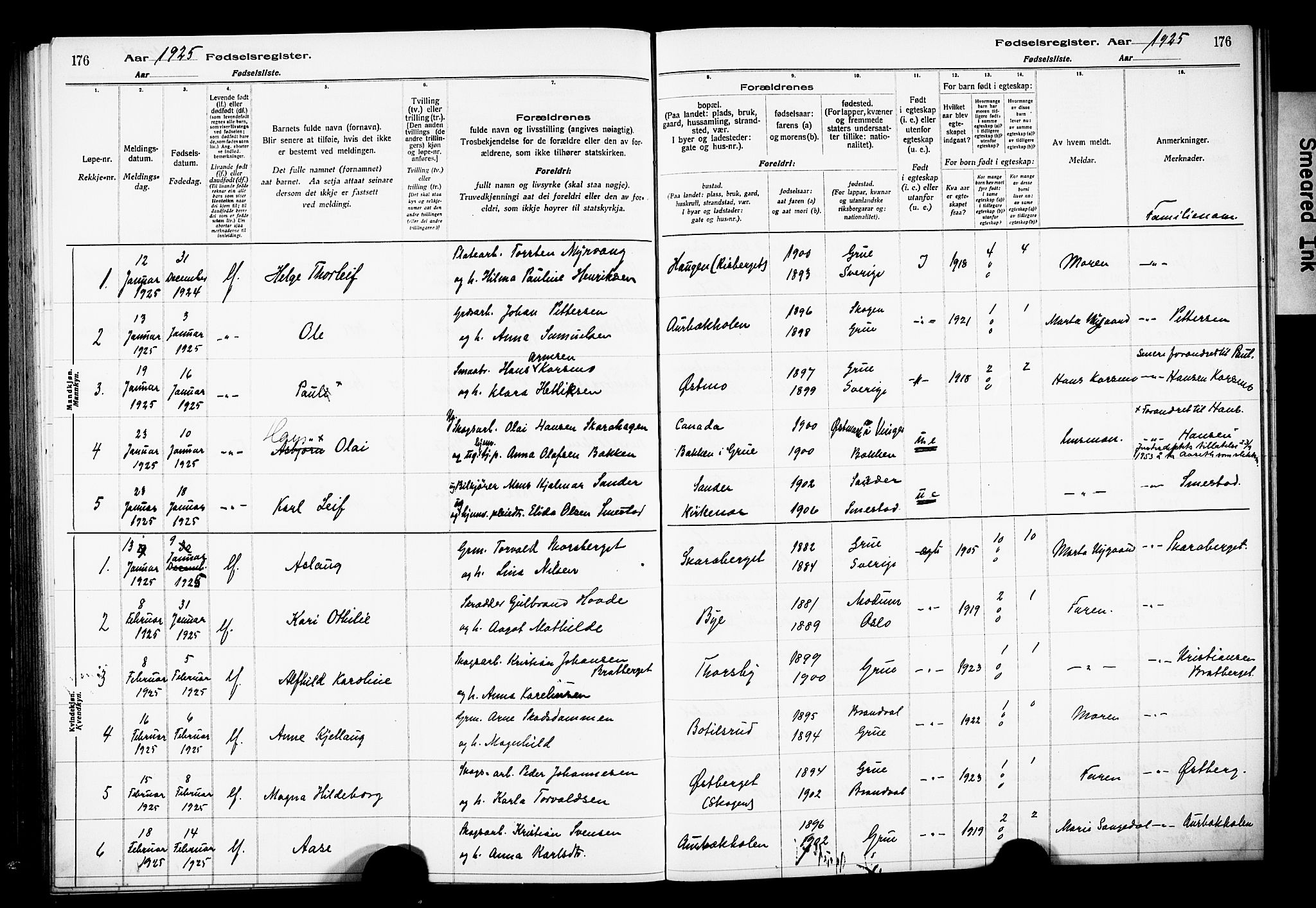 Grue prestekontor, AV/SAH-PREST-036/I/Id/Ida/L0001: Fødselsregister nr. I 1, 1916-1926, s. 176