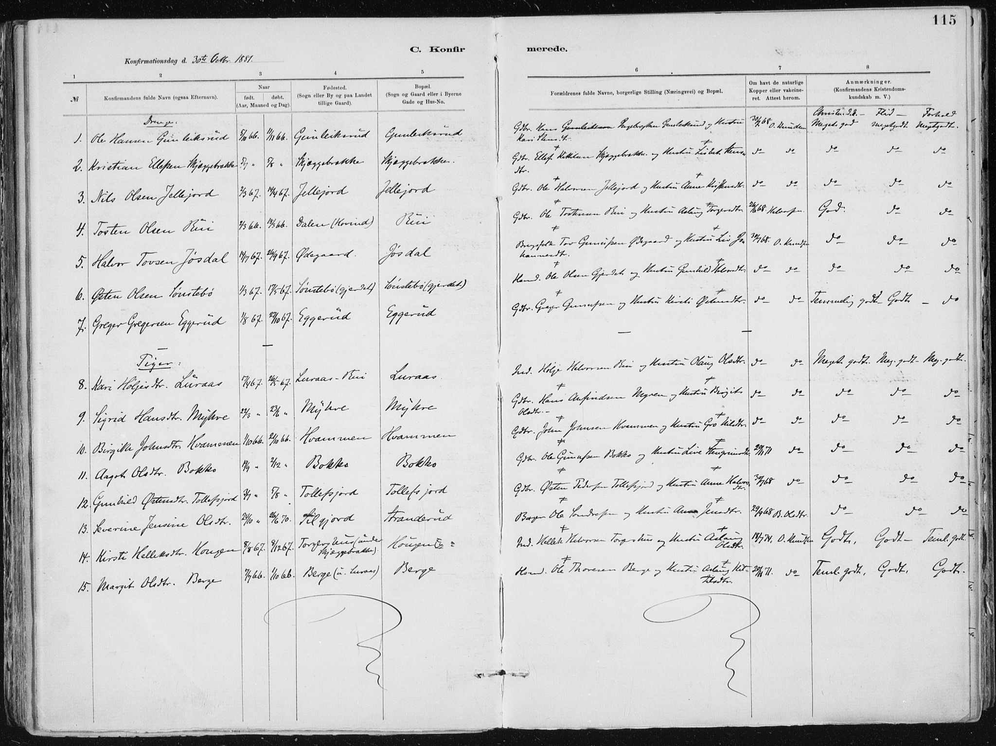 Tinn kirkebøker, AV/SAKO-A-308/F/Fa/L0007: Ministerialbok nr. I 7, 1878-1922, s. 115