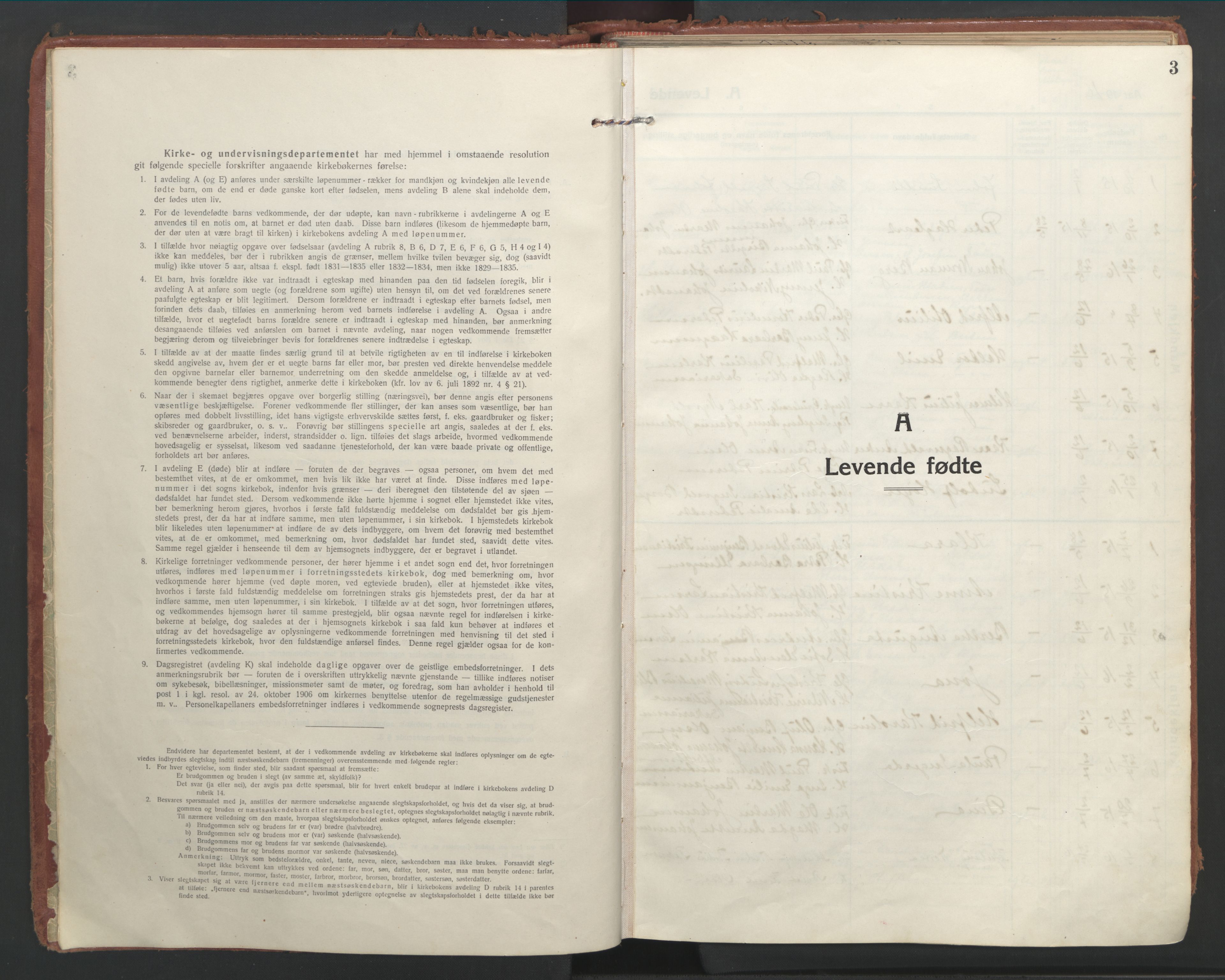 Ministerialprotokoller, klokkerbøker og fødselsregistre - Nordland, AV/SAT-A-1459/804/L0086: Ministerialbok nr. 804A07, 1916-1935, s. 3