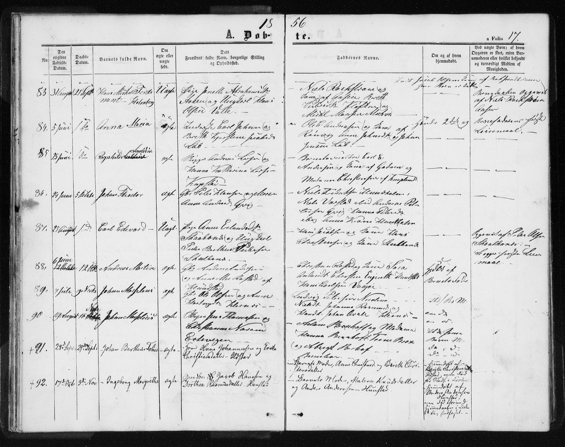 Ministerialprotokoller, klokkerbøker og fødselsregistre - Nordland, AV/SAT-A-1459/801/L0028: Klokkerbok nr. 801C03, 1855-1867, s. 17