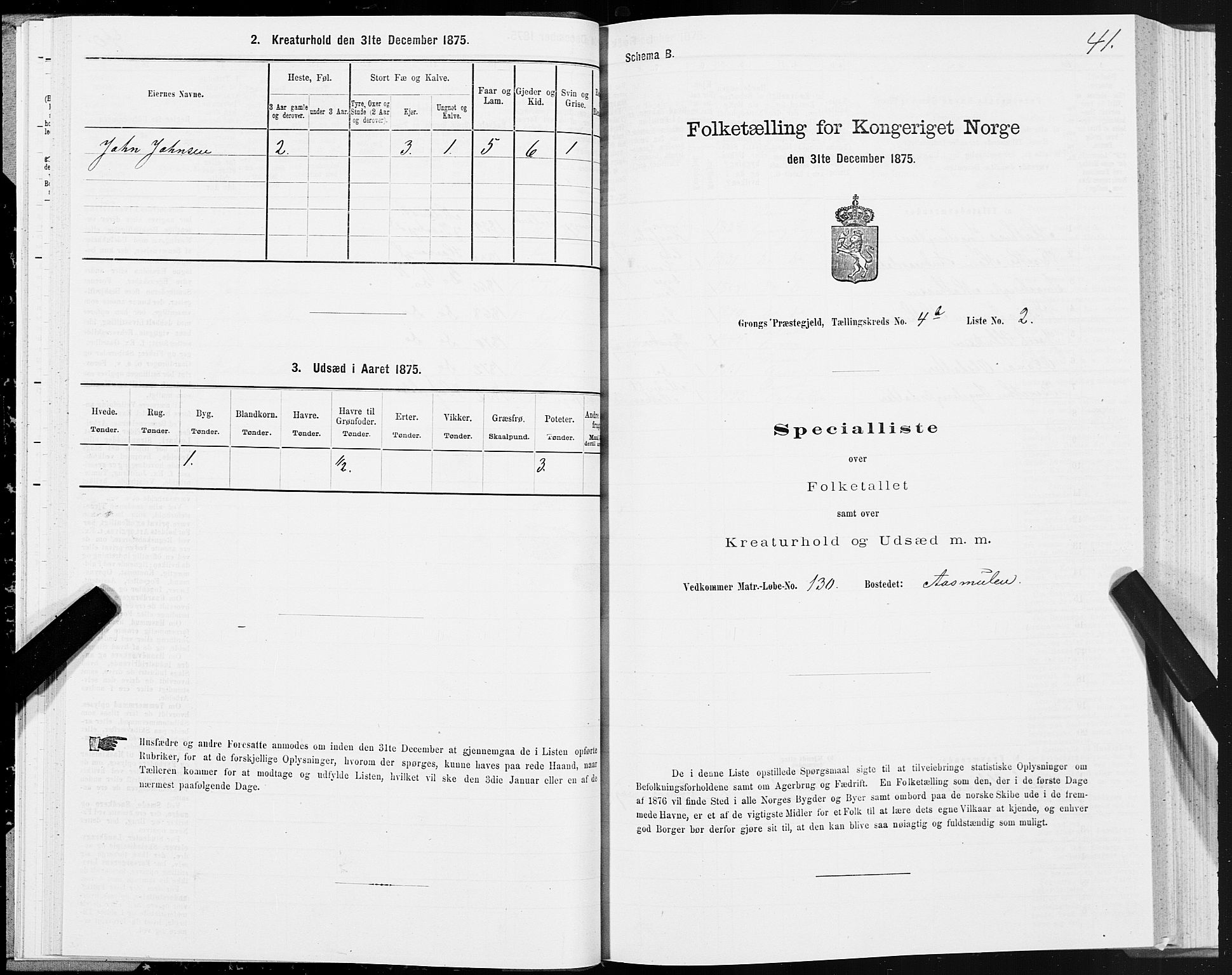 SAT, Folketelling 1875 for 1742P Grong prestegjeld, 1875, s. 3041