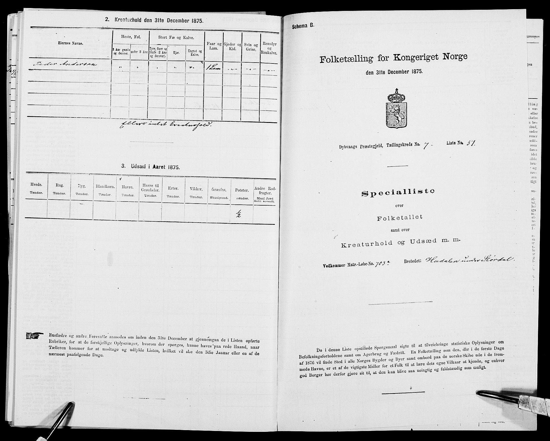 SAK, Folketelling 1875 for 0915P Dypvåg prestegjeld, 1875, s. 917