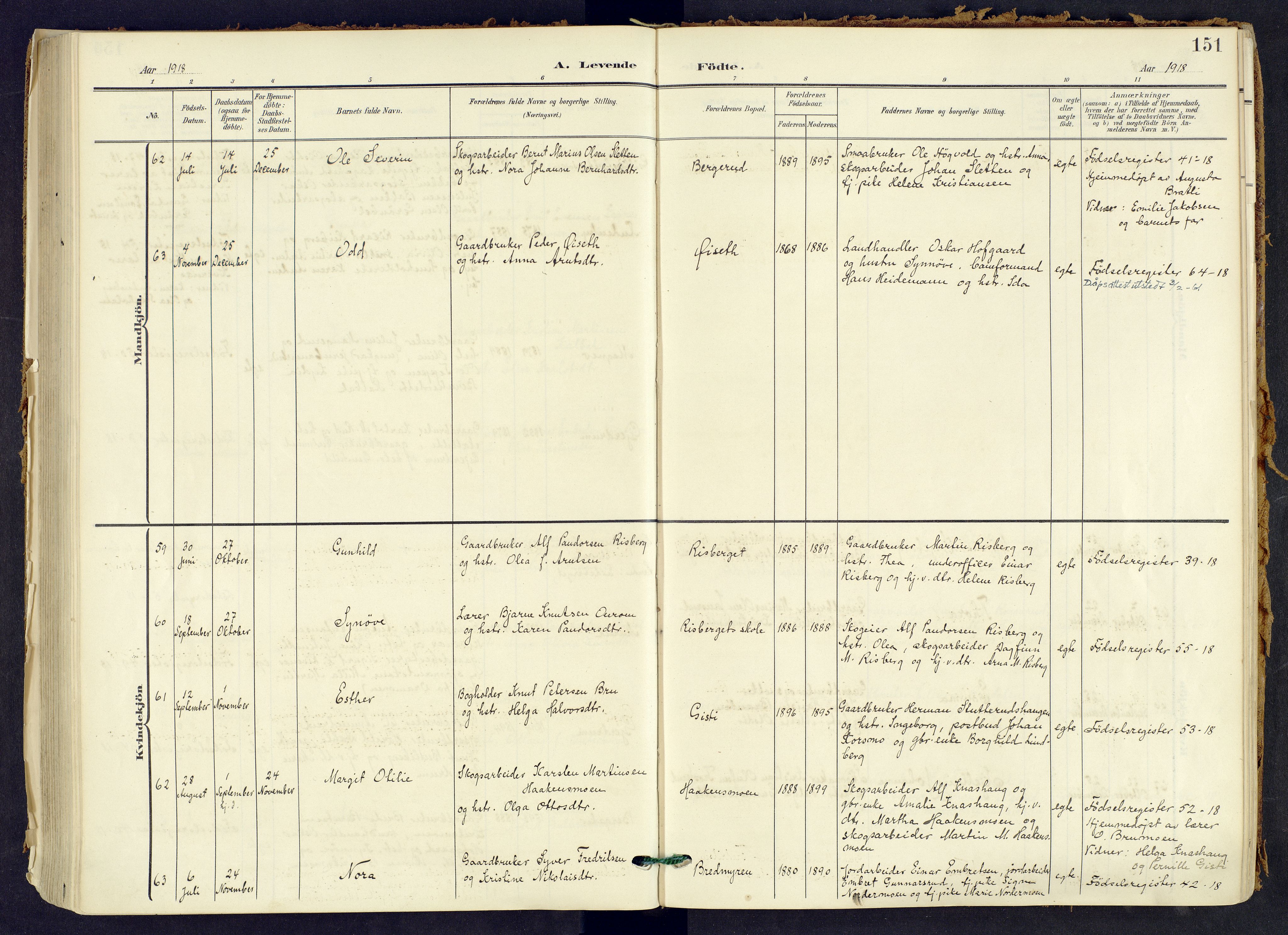 Våler prestekontor, Hedmark, AV/SAH-PREST-040/H/Ha/Haa/L0008: Ministerialbok nr. 8, 1905-1921, s. 151