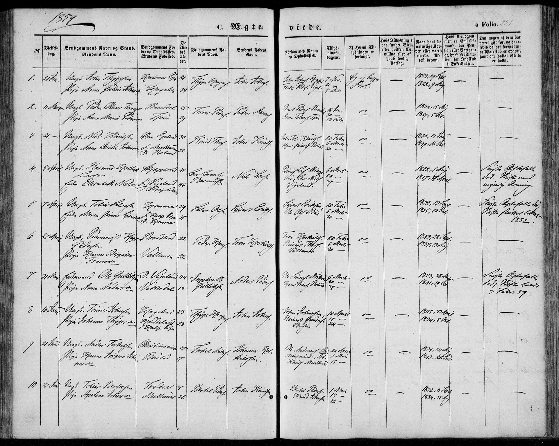 Sør-Audnedal sokneprestkontor, SAK/1111-0039/F/Fa/Fab/L0007: Ministerialbok nr. A 7, 1855-1876, s. 221