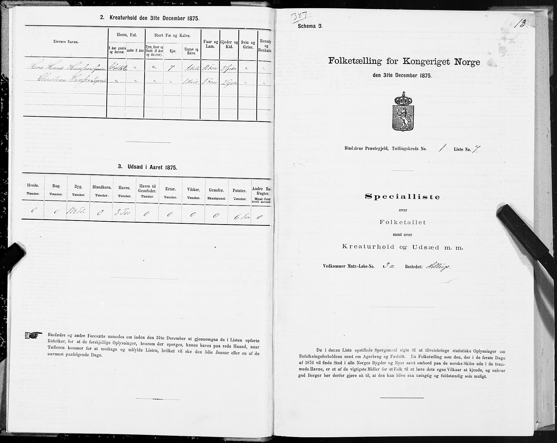 SAT, Folketelling 1875 for 1811P Bindal prestegjeld, 1875, s. 1013