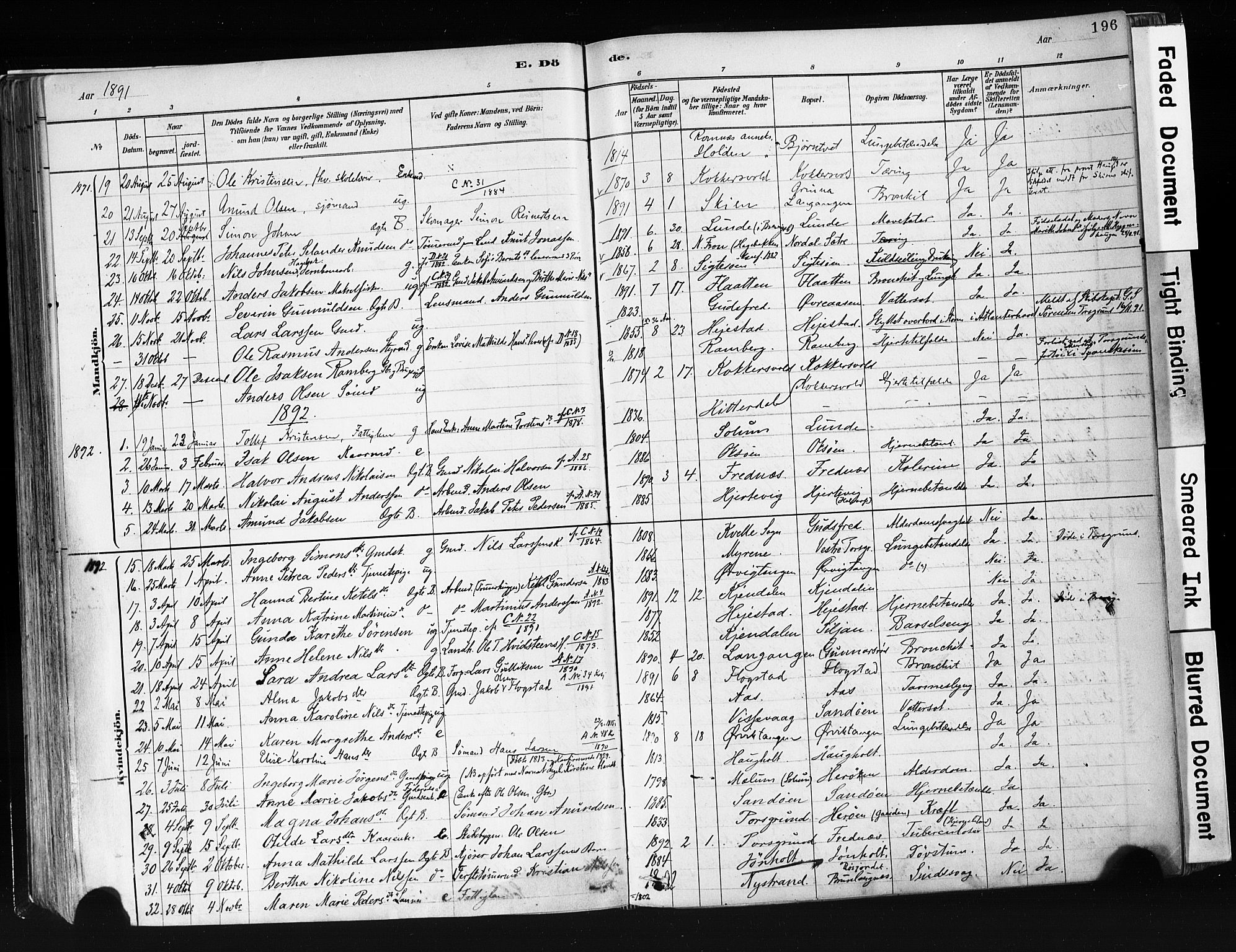 Eidanger kirkebøker, AV/SAKO-A-261/F/Fa/L0012: Ministerialbok nr. 12, 1879-1900, s. 196