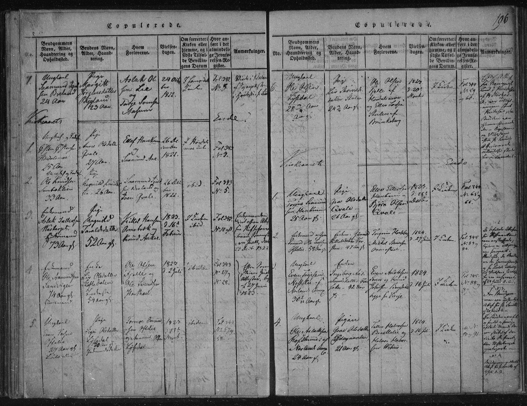 Lårdal kirkebøker, SAKO/A-284/F/Fc/L0001: Ministerialbok nr. III 1, 1815-1860, s. 196