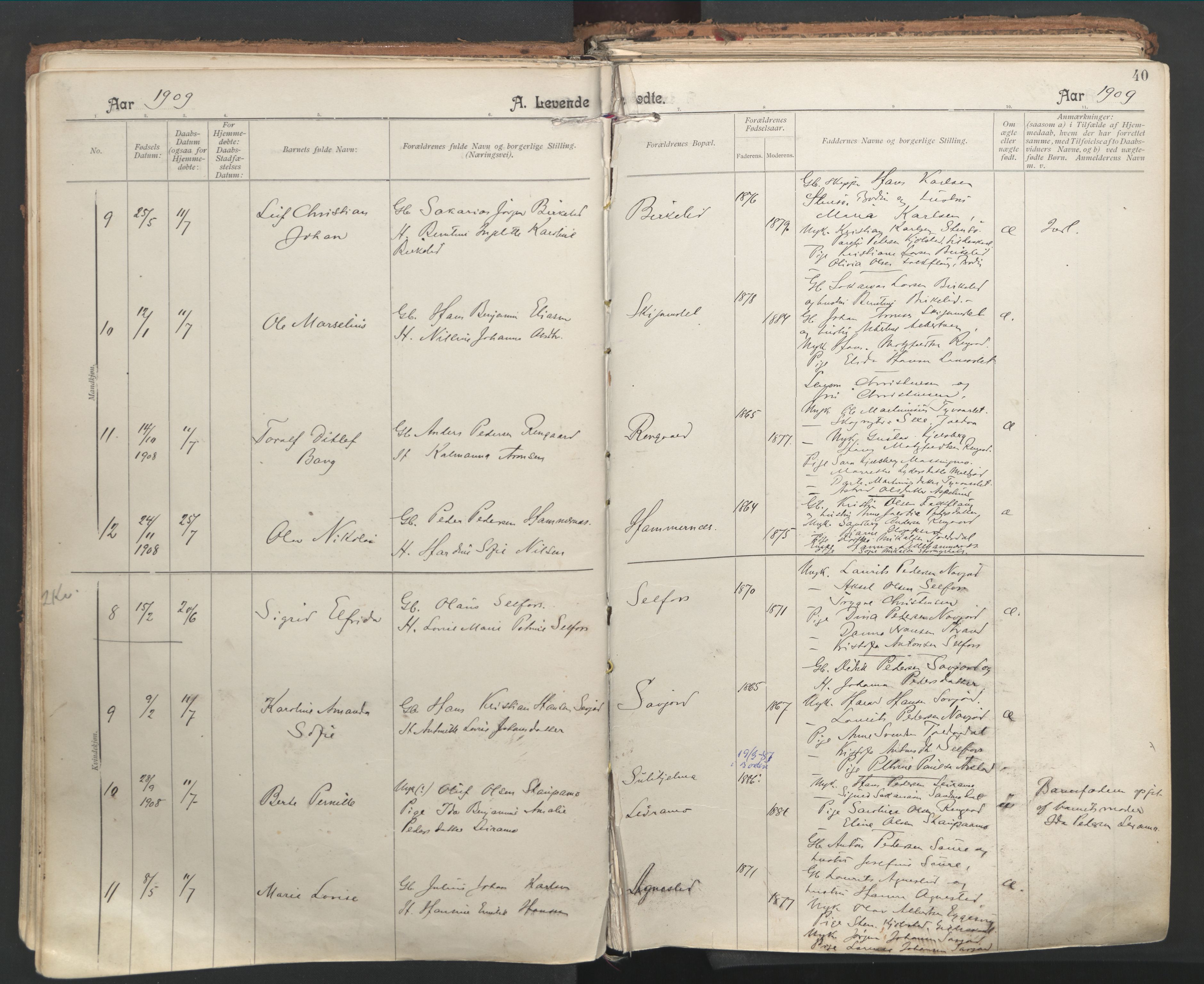 Ministerialprotokoller, klokkerbøker og fødselsregistre - Nordland, AV/SAT-A-1459/846/L0647: Ministerialbok nr. 846A05, 1902-1915, s. 40