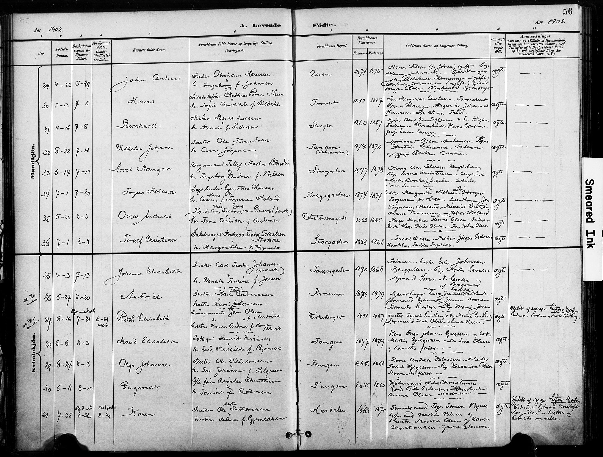 Risør sokneprestkontor, AV/SAK-1111-0035/F/Fa/L0010: Ministerialbok nr. A 10, 1896-1906, s. 56