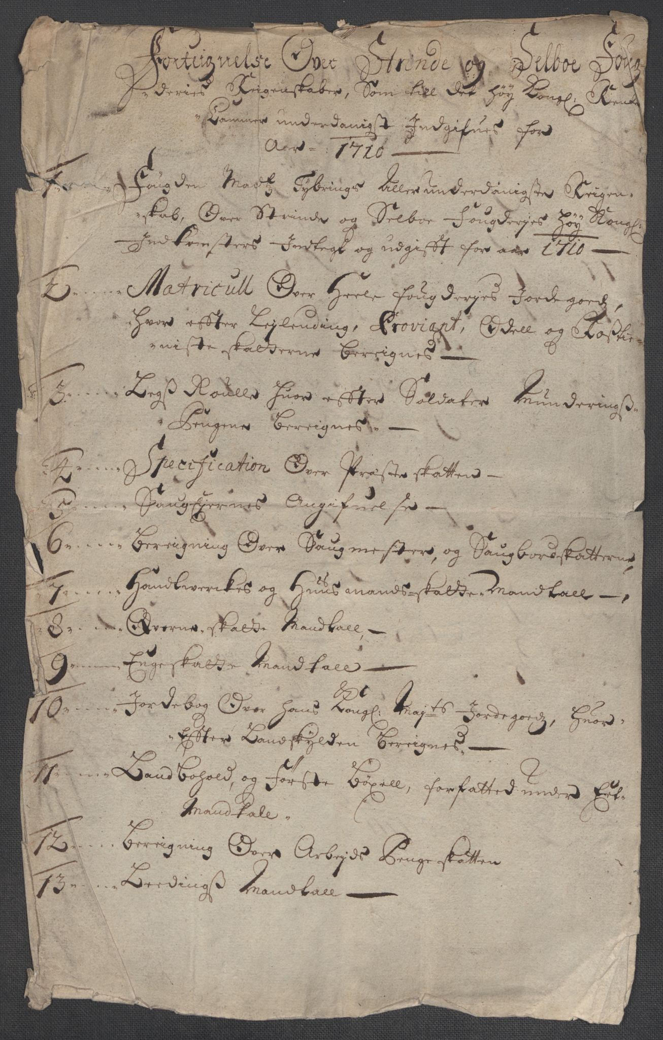 Rentekammeret inntil 1814, Reviderte regnskaper, Fogderegnskap, RA/EA-4092/R61/L4111: Fogderegnskap Strinda og Selbu, 1709-1710, s. 309