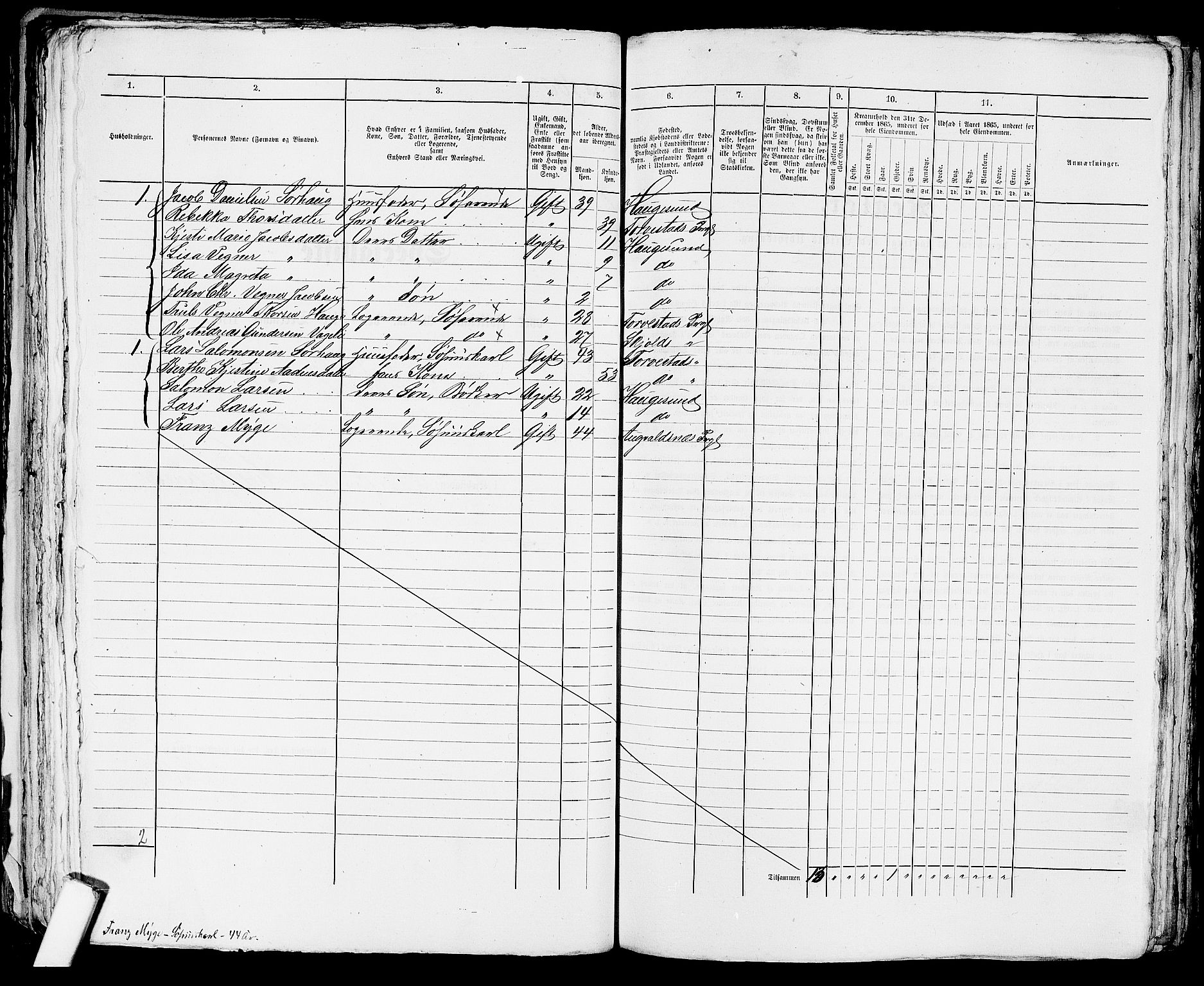 RA, Folketelling 1865 for 1106B Torvastad prestegjeld, Haugesund ladested, 1865, s. 210