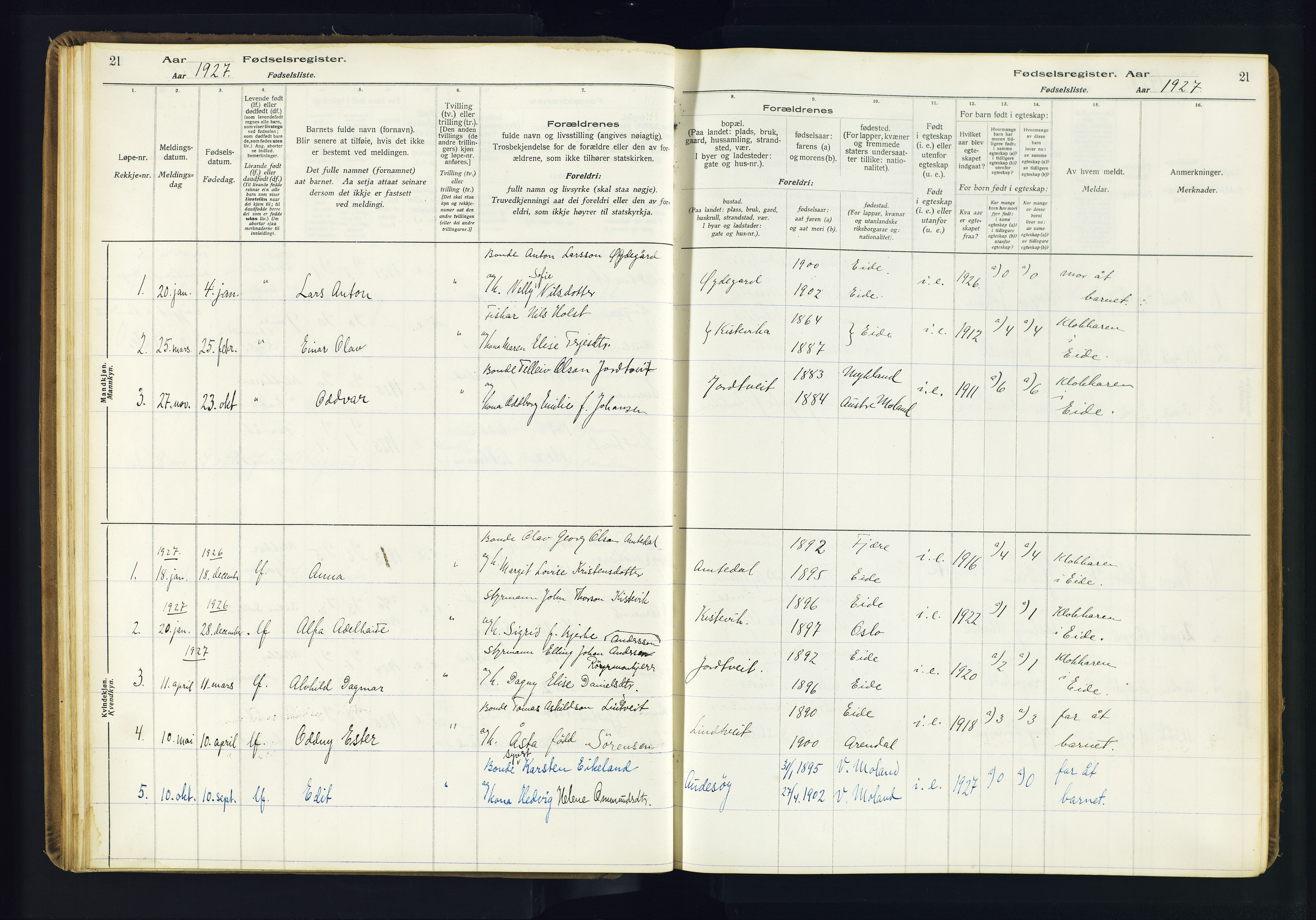 Hommedal sokneprestkontor, SAK/1111-0023/J/Jd/L0003: Fødselsregister nr. 3, 1916-1982, s. 21