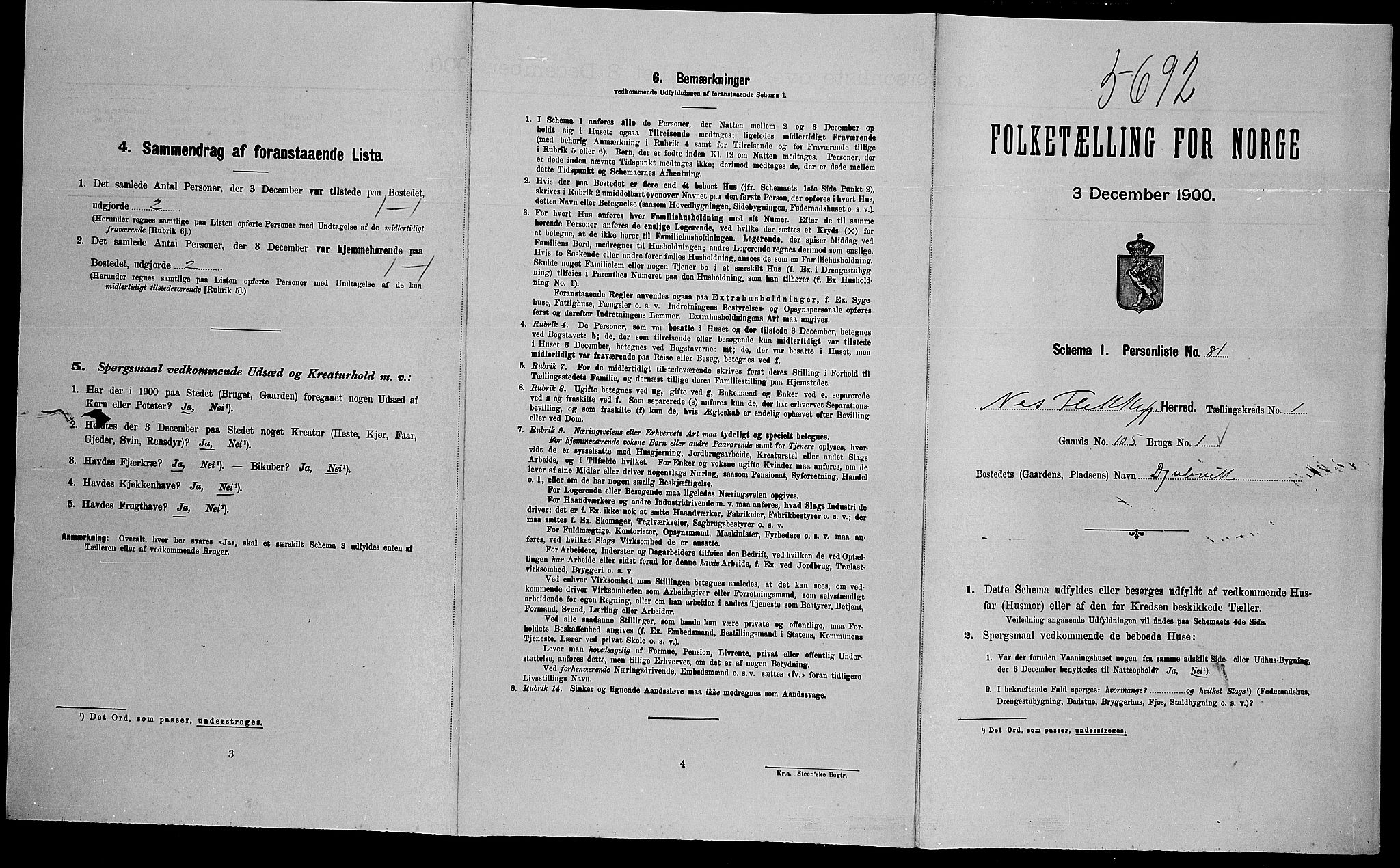 SAK, Folketelling 1900 for 1043 Nes herred, 1900, s. 213