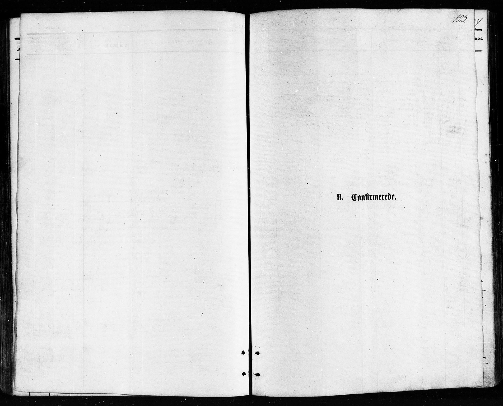 Ministerialprotokoller, klokkerbøker og fødselsregistre - Nordland, AV/SAT-A-1459/814/L0225: Ministerialbok nr. 814A06, 1875-1885, s. 123