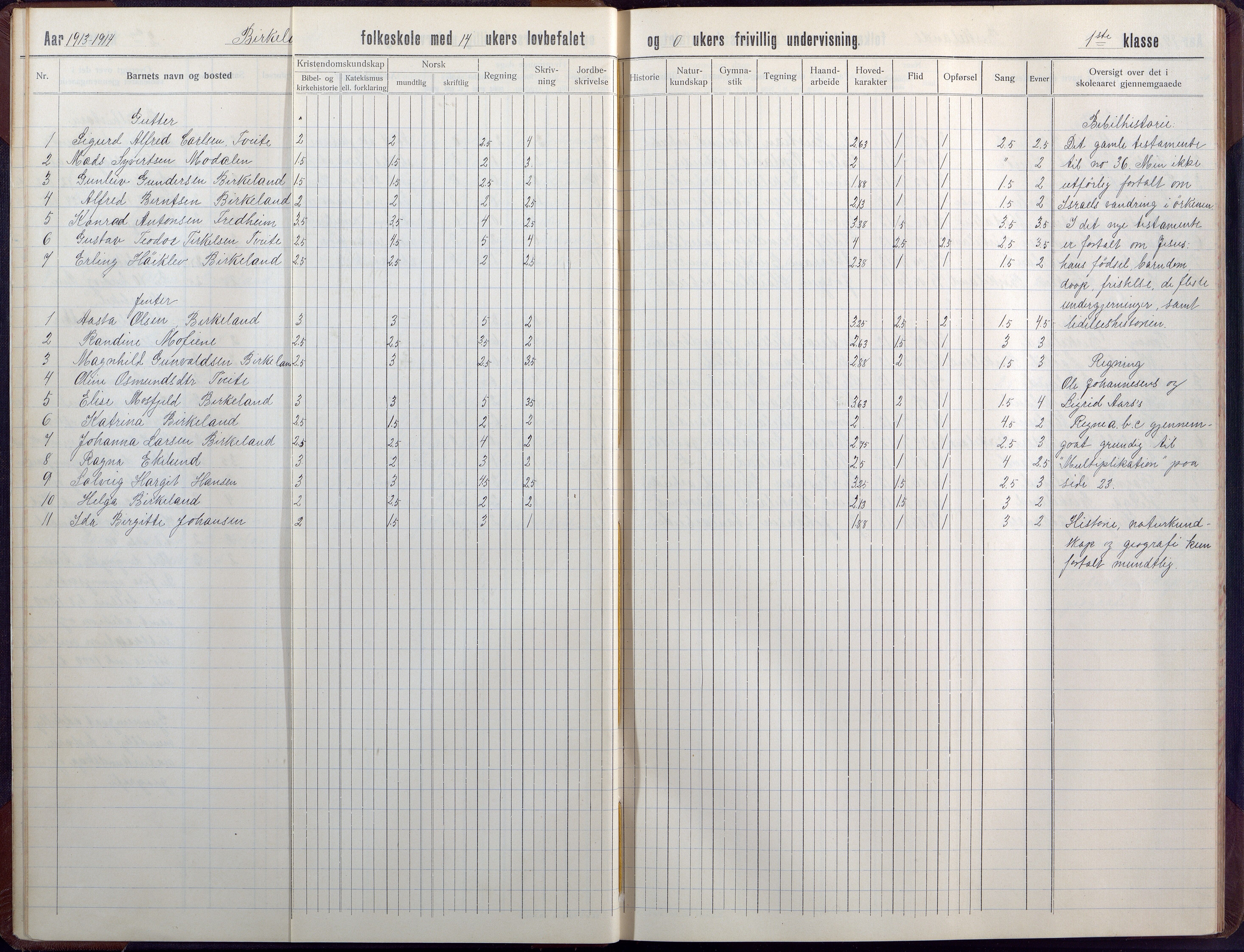Birkenes kommune, Birkenes krets/Birkeland folkeskole frem til 1991, AAMA/KA0928-550a_91/F02/L0008: Skoleprotokoll, 1911-1930