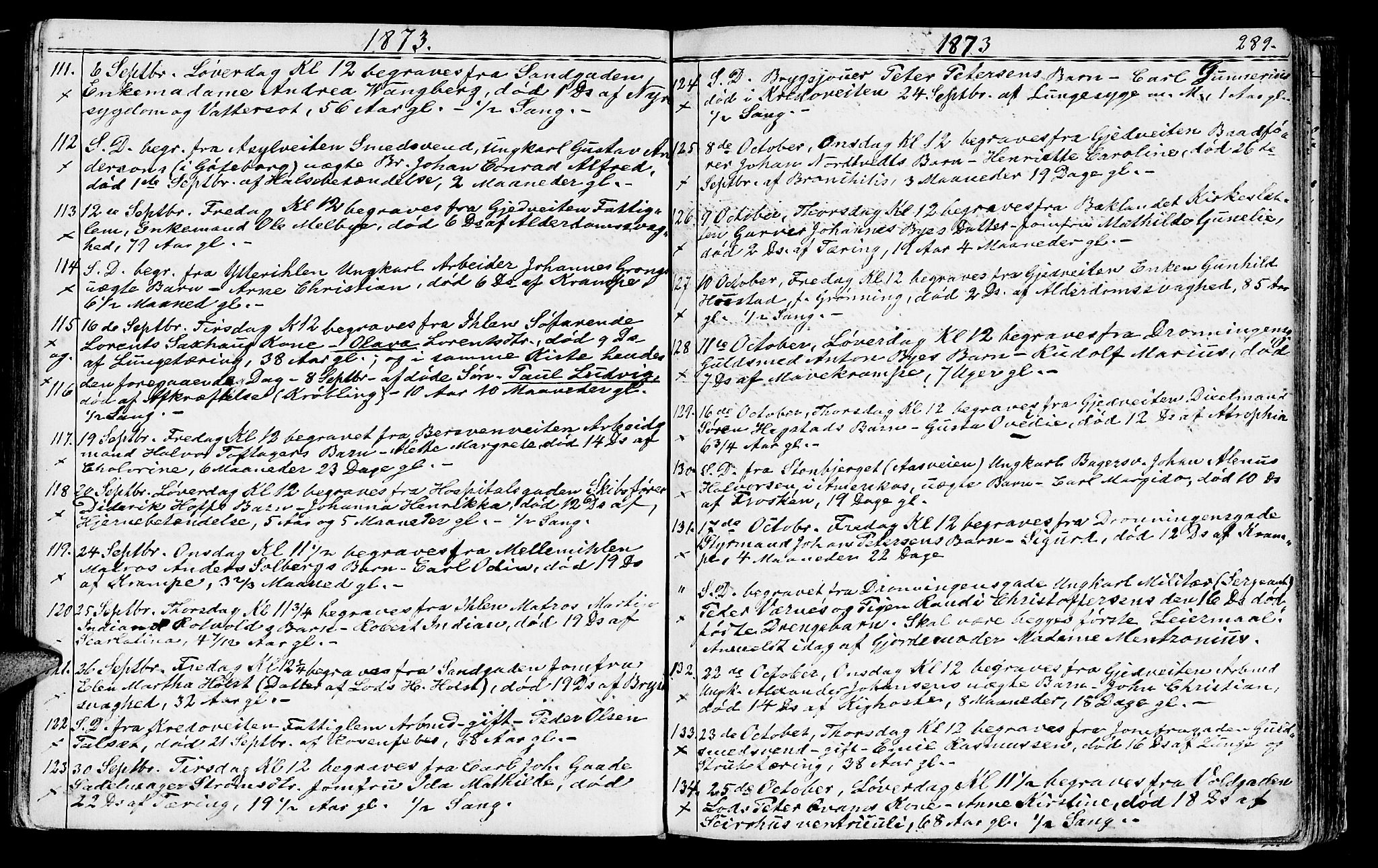 Ministerialprotokoller, klokkerbøker og fødselsregistre - Sør-Trøndelag, AV/SAT-A-1456/602/L0142: Klokkerbok nr. 602C10, 1872-1894, s. 289