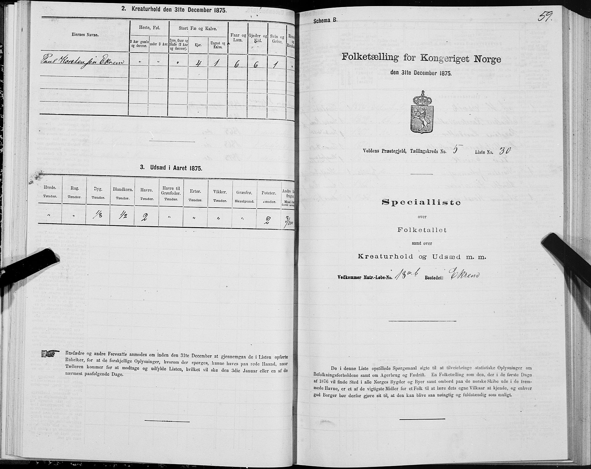 SAT, Folketelling 1875 for 1519P Volda prestegjeld, 1875, s. 4059