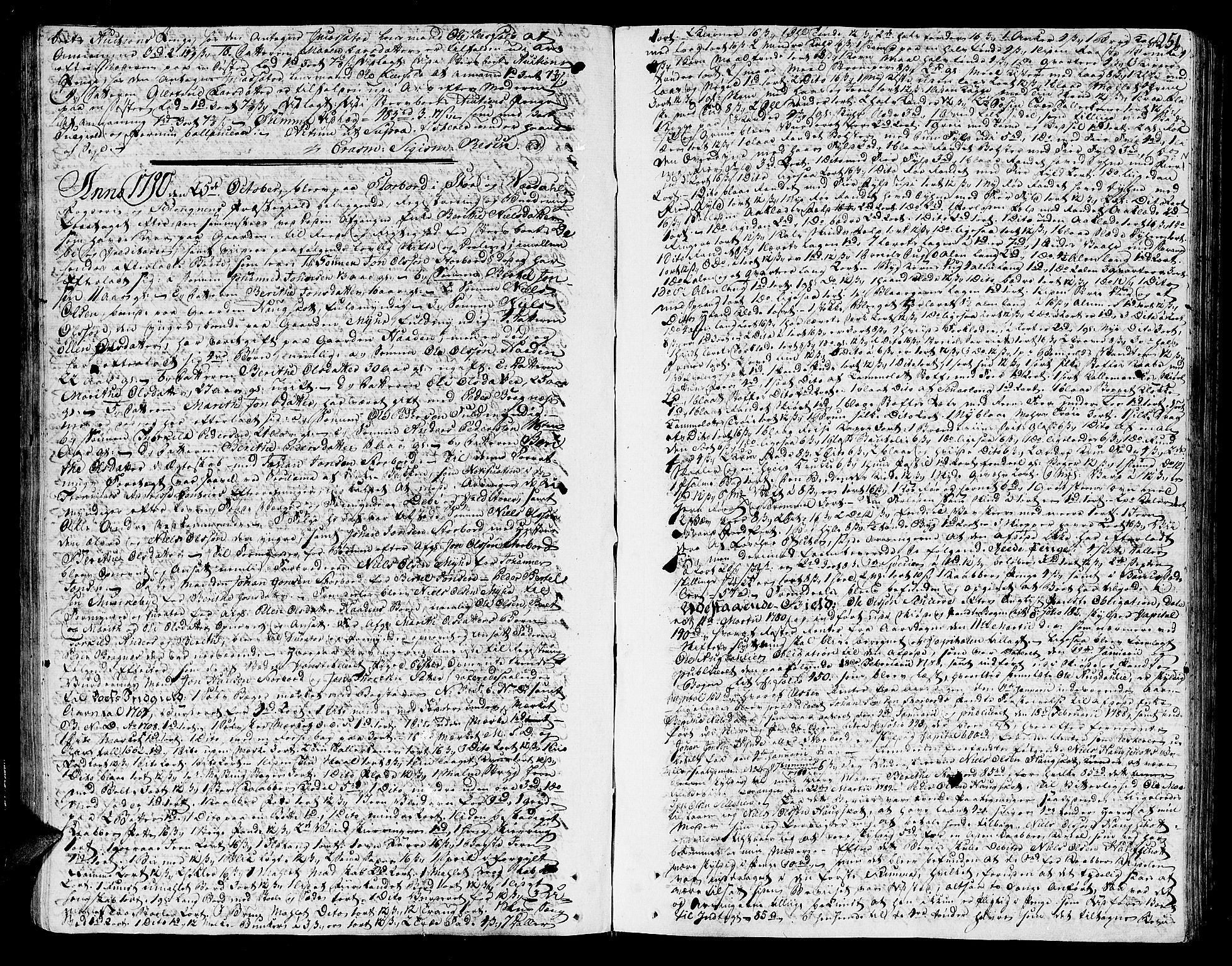 Stjør- og Verdal sorenskriveri, AV/SAT-A-4167/1/3/3A/L0015: Skifteprotokoll 10, 1785-1796, s. 251