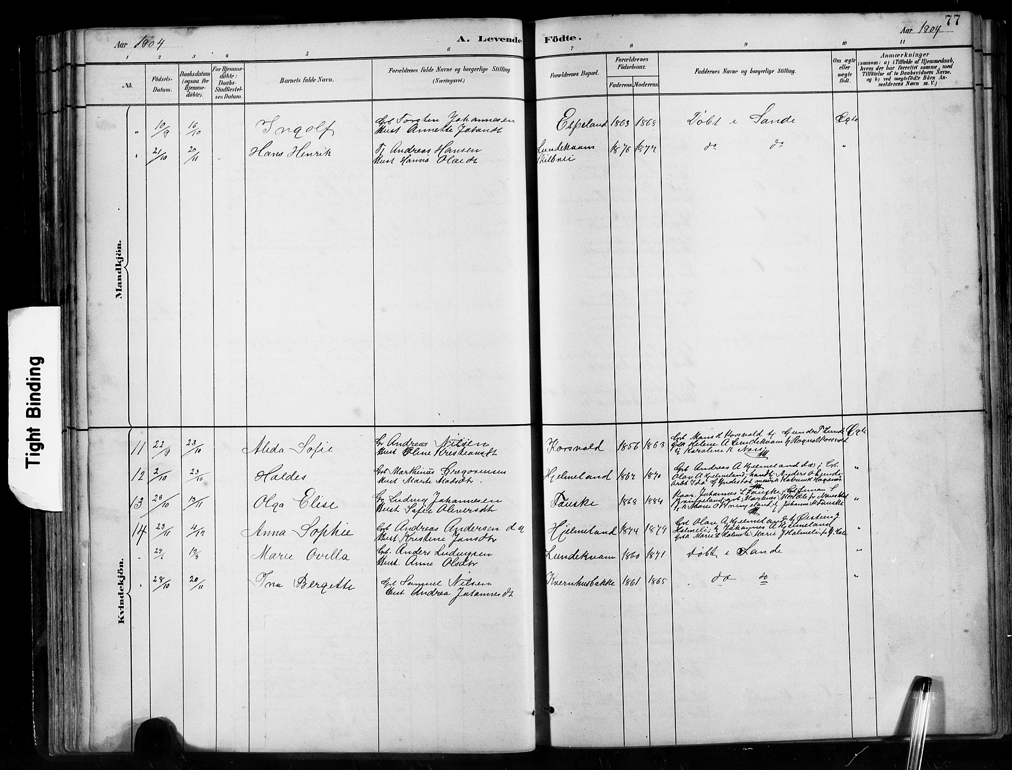 Gaular sokneprestembete, AV/SAB-A-80001/H/Hab: Klokkerbok nr. B 3, 1882-1913, s. 77