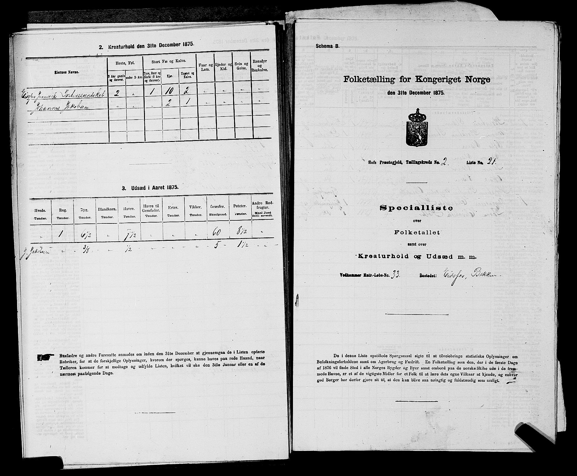 SAKO, Folketelling 1875 for 0714P Hof prestegjeld, 1875, s. 250