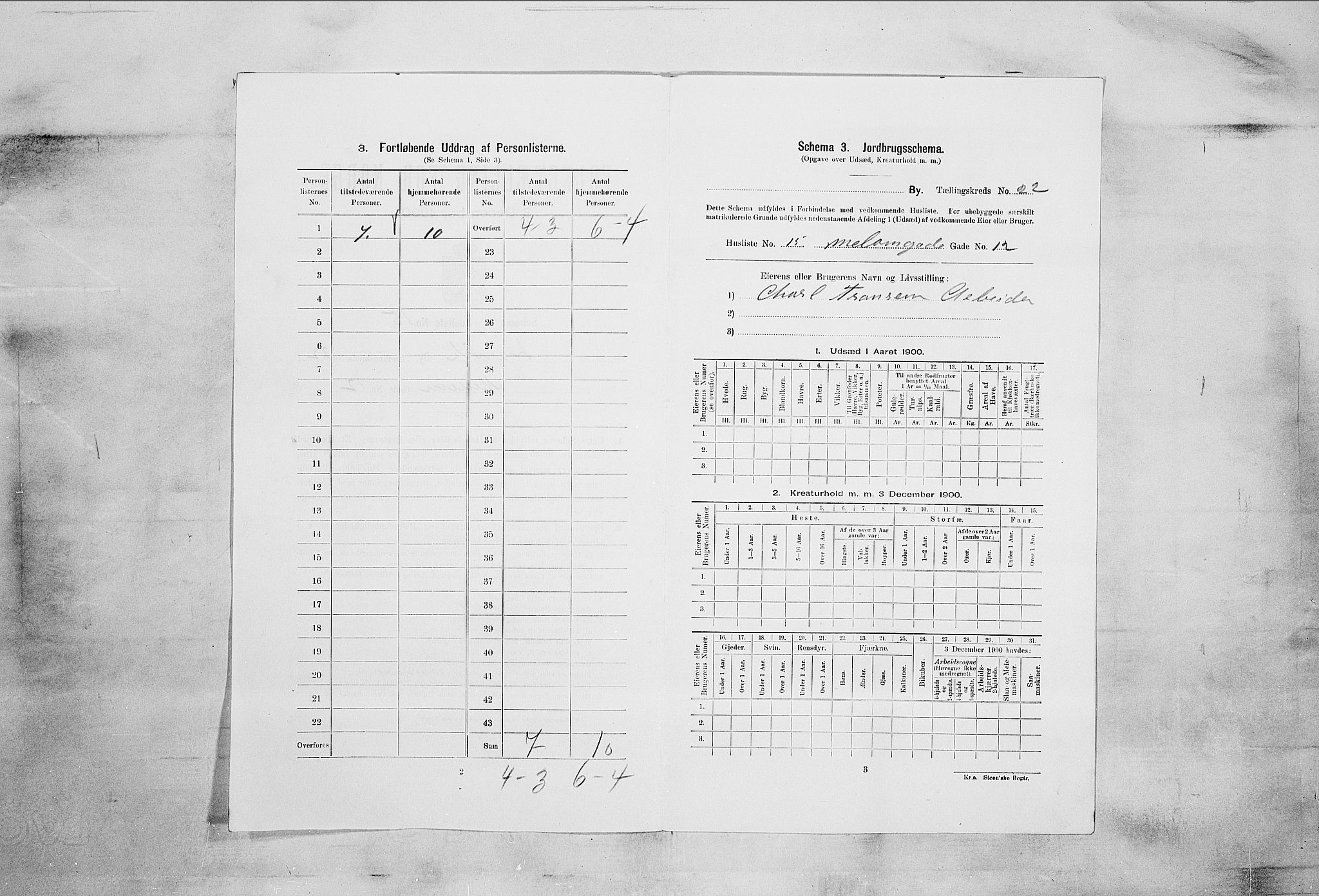 RA, Folketelling 1900 for 0707 Larvik kjøpstad, 1900, s. 2229