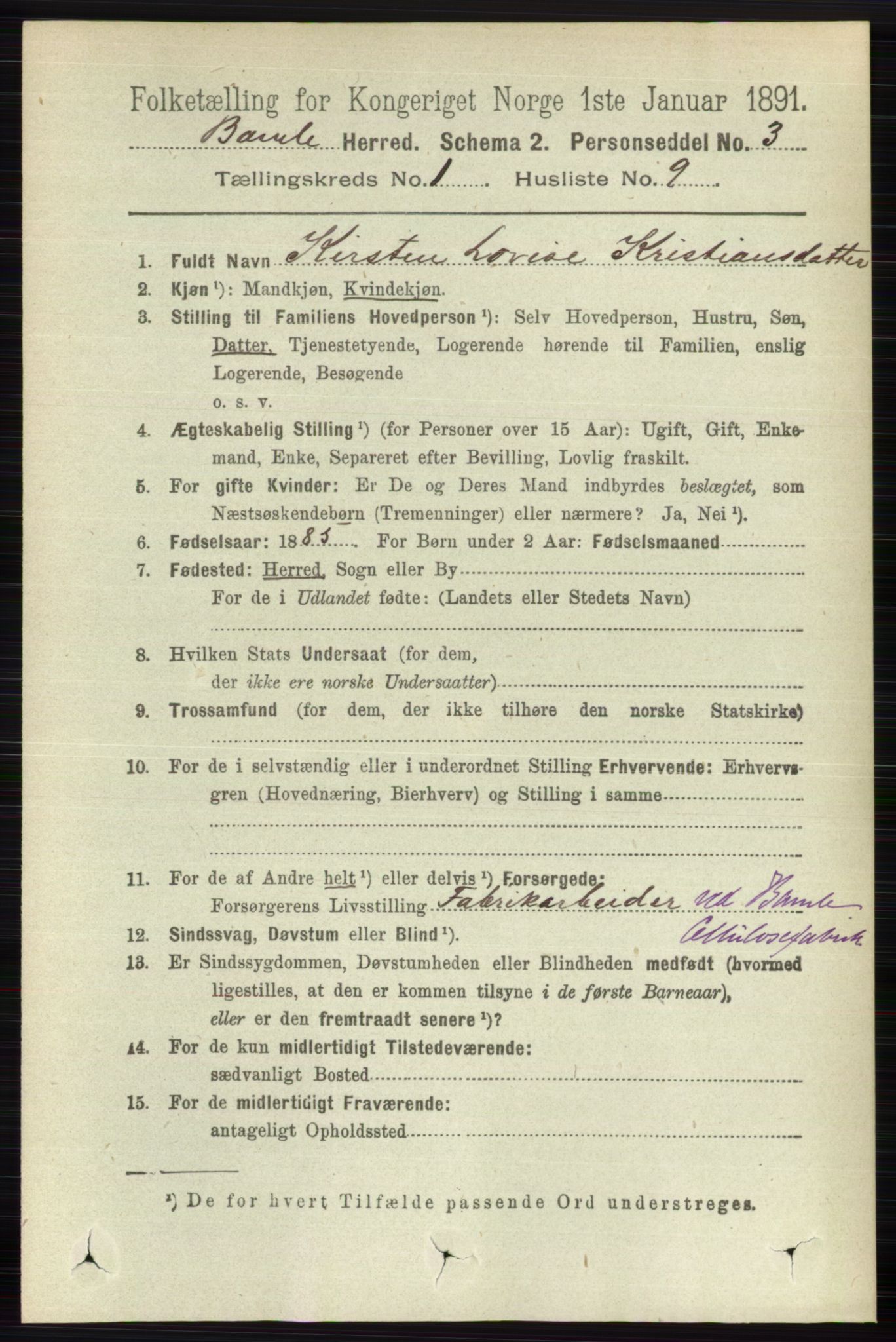 RA, Folketelling 1891 for 0814 Bamble herred, 1891, s. 195