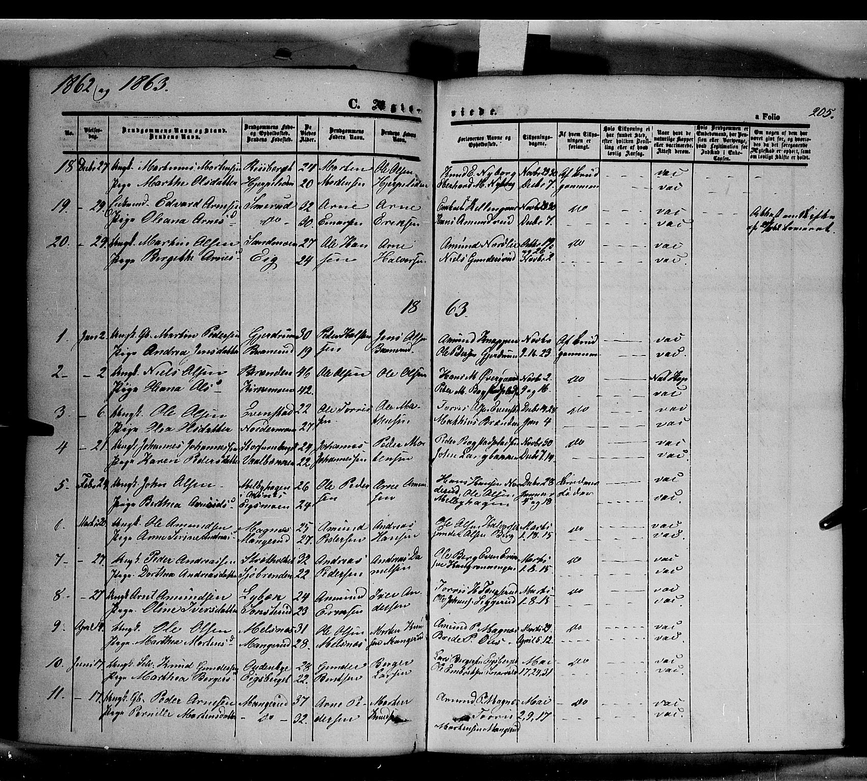Våler prestekontor, Hedmark, AV/SAH-PREST-040/H/Ha/Haa/L0001: Ministerialbok nr. 1, 1849-1878, s. 205