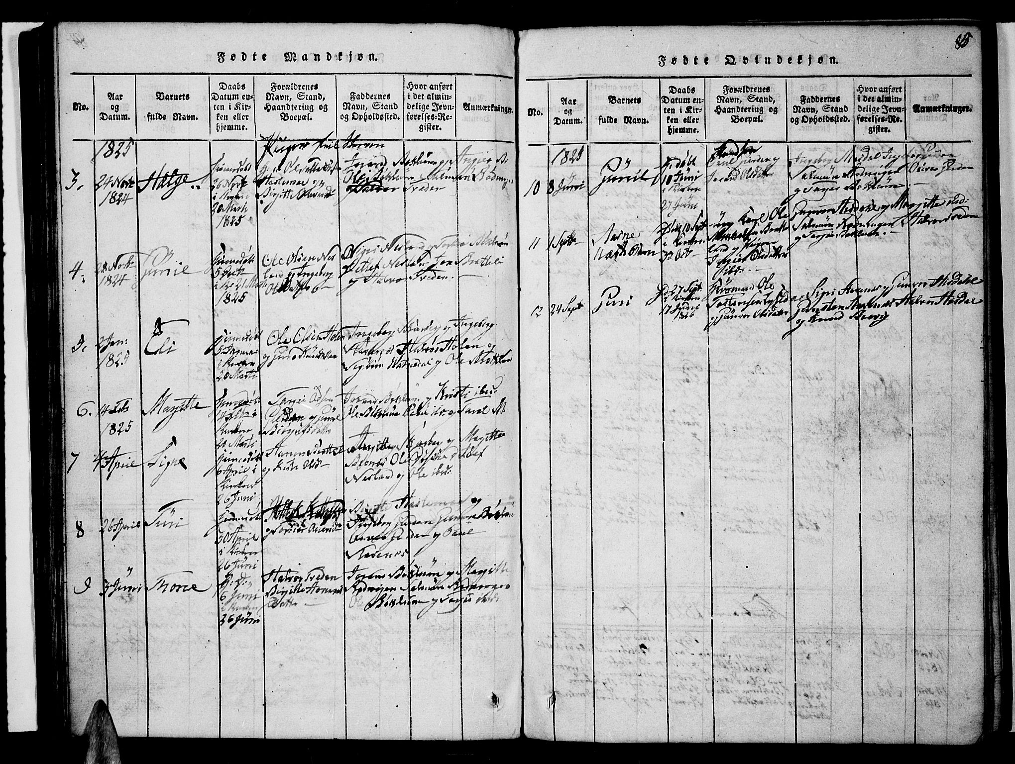 Valle sokneprestkontor, AV/SAK-1111-0044/F/Fb/Fbc/L0001: Klokkerbok nr. B 1 /3, 1816-1829, s. 85