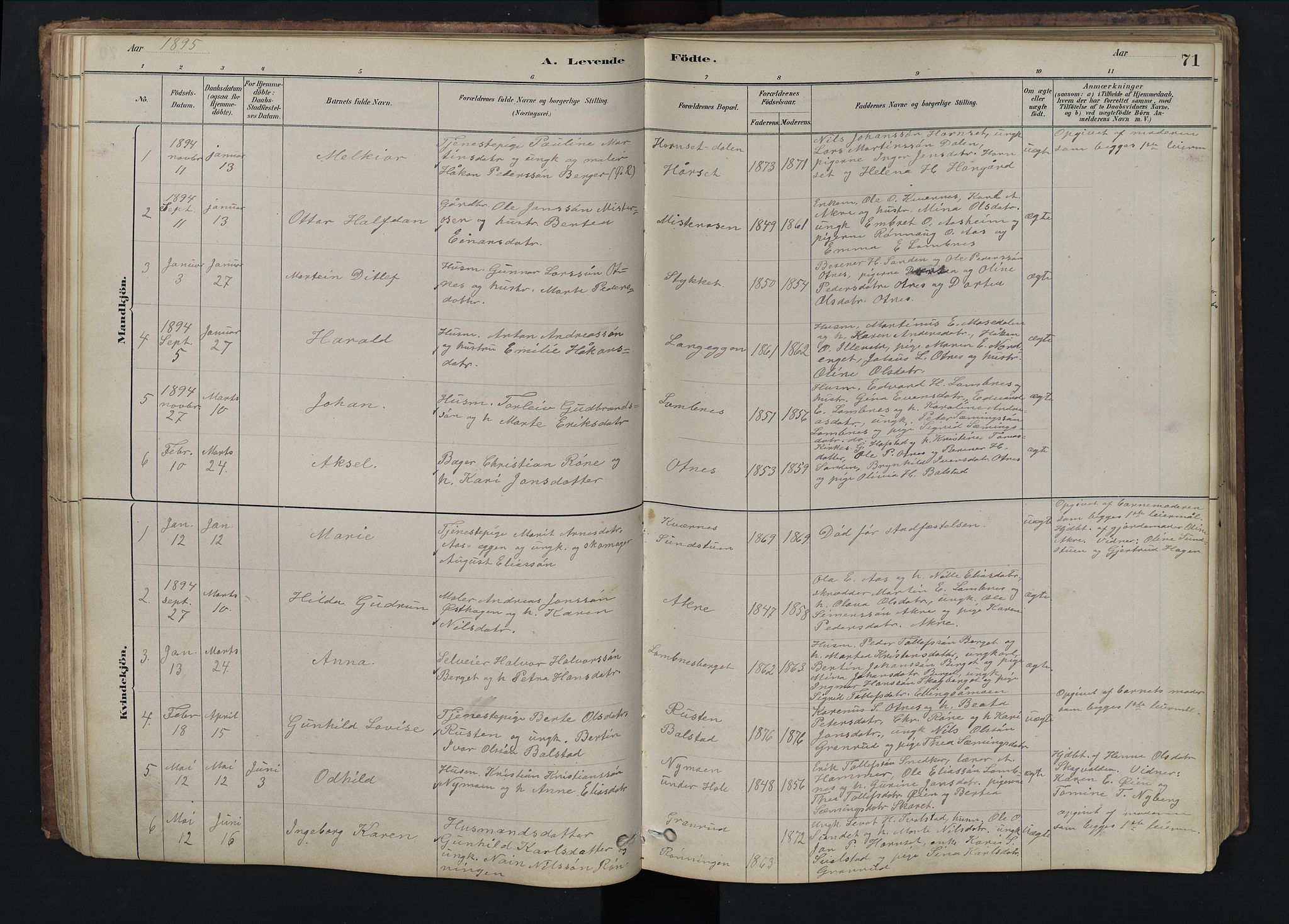 Rendalen prestekontor, AV/SAH-PREST-054/H/Ha/Hab/L0009: Klokkerbok nr. 9, 1879-1902, s. 71
