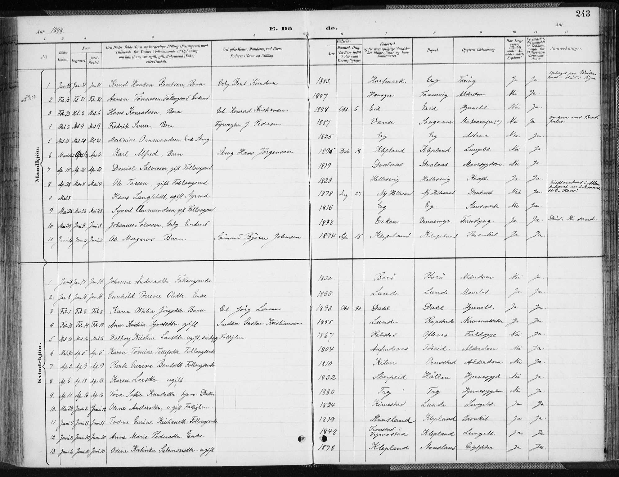 Søgne sokneprestkontor, AV/SAK-1111-0037/F/Fa/Fab/L0013: Ministerialbok nr. A 13, 1892-1911, s. 243