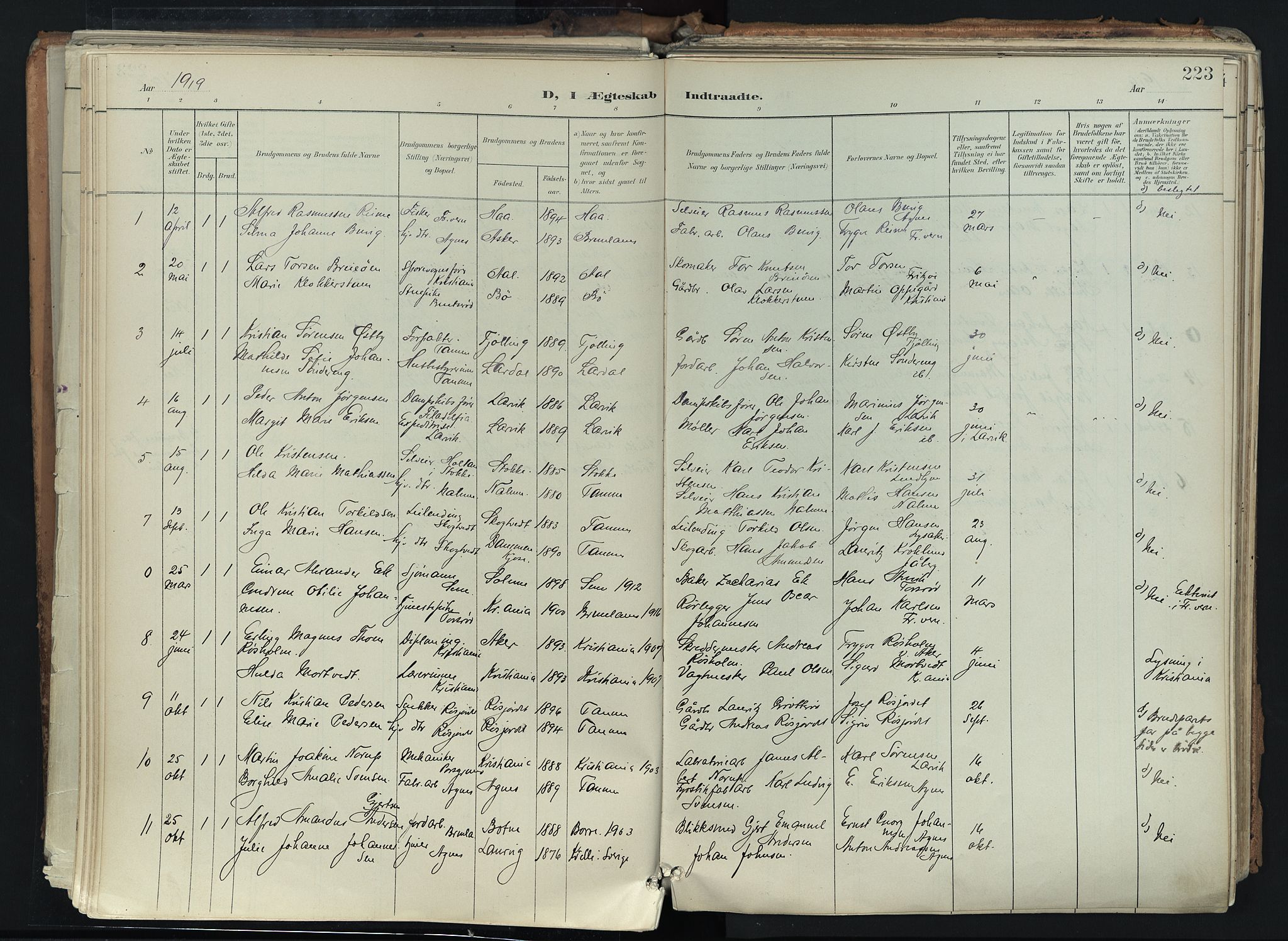 Brunlanes kirkebøker, AV/SAKO-A-342/F/Fc/L0003: Ministerialbok nr. III 3, 1900-1922, s. 223