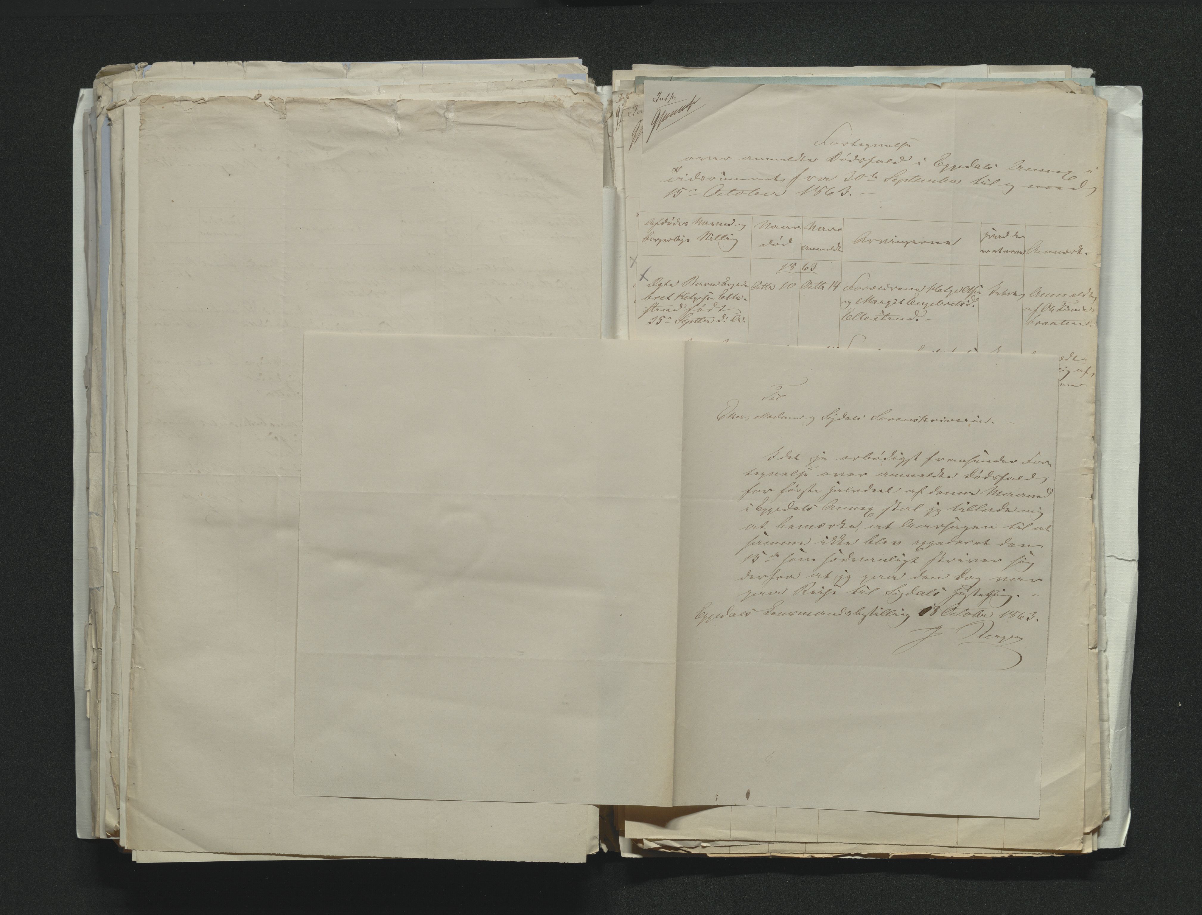 Eiker, Modum og Sigdal sorenskriveri, AV/SAKO-A-123/H/Ha/Hab/L0011: Dødsfallsmeldinger, 1862-1865, s. 307