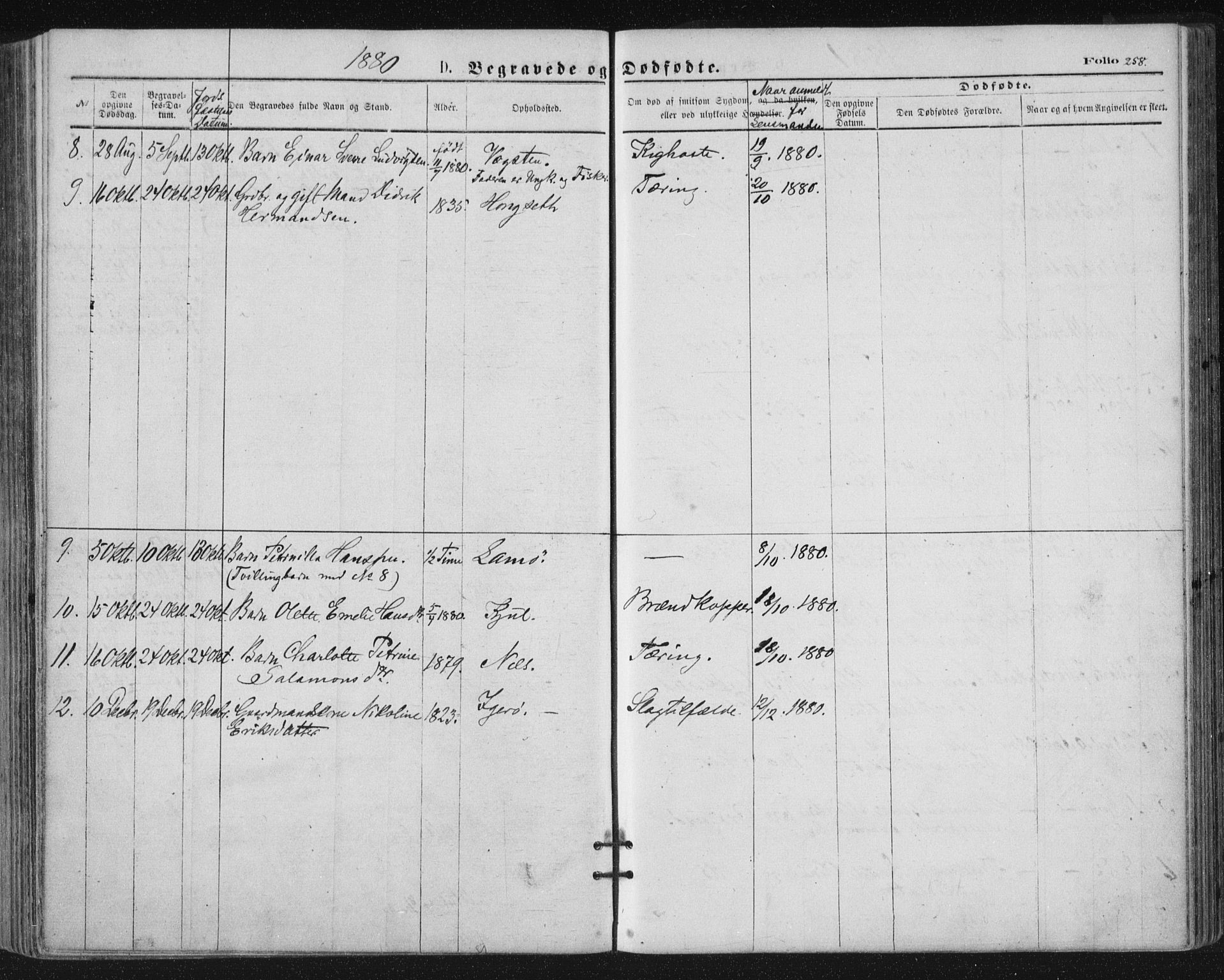 Ministerialprotokoller, klokkerbøker og fødselsregistre - Nordland, SAT/A-1459/816/L0241: Ministerialbok nr. 816A07, 1870-1885, s. 258