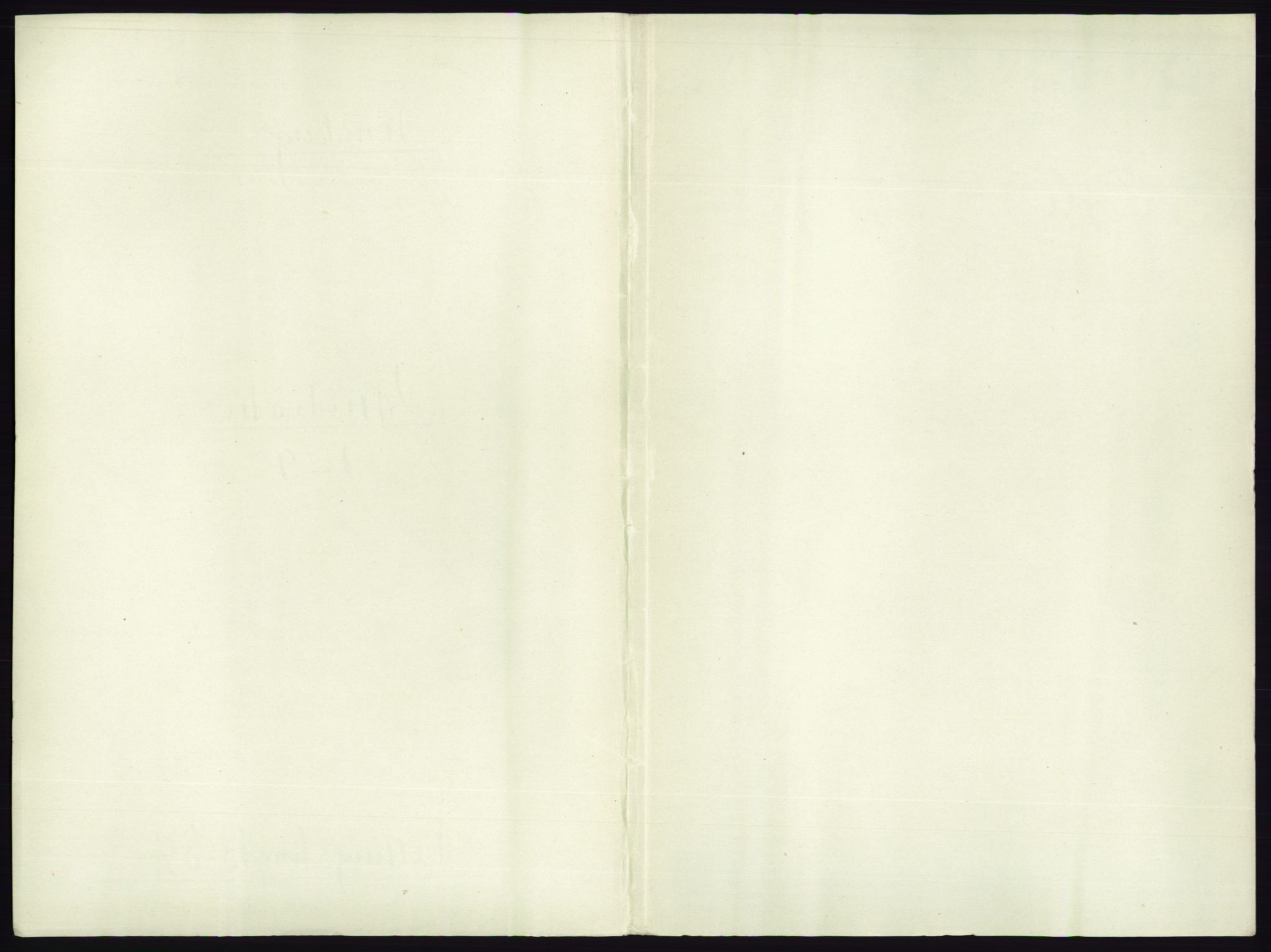 RA, Folketelling 1891 for 0705 Tønsberg kjøpstad, 1891, s. 985