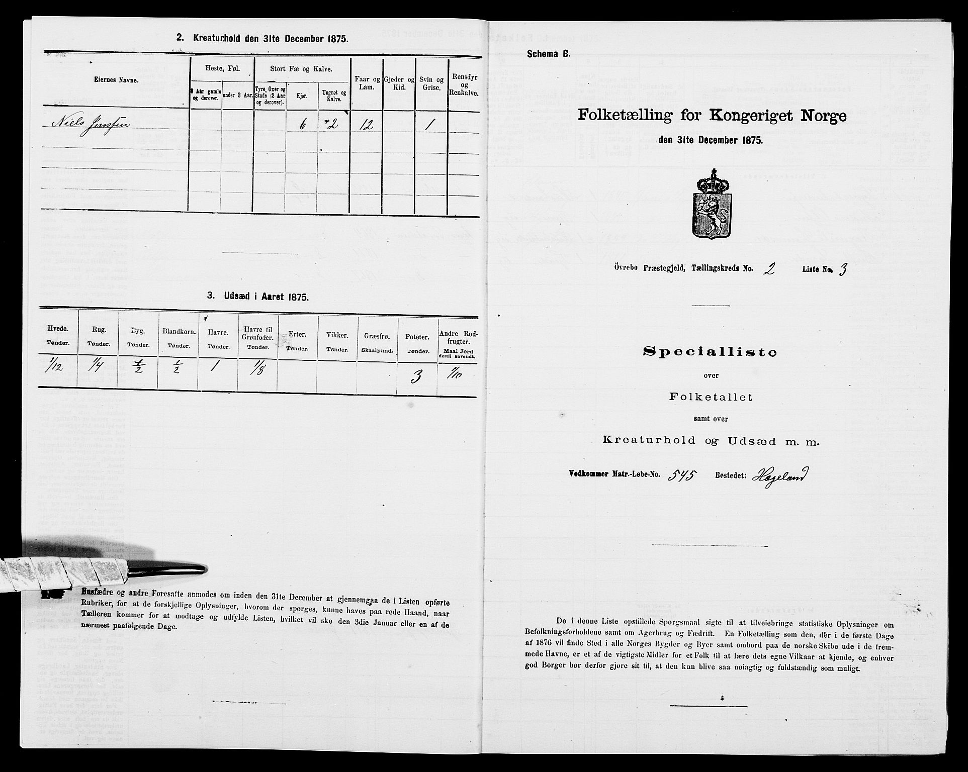 SAK, Folketelling 1875 for 1016P Øvrebø prestegjeld, 1875, s. 177