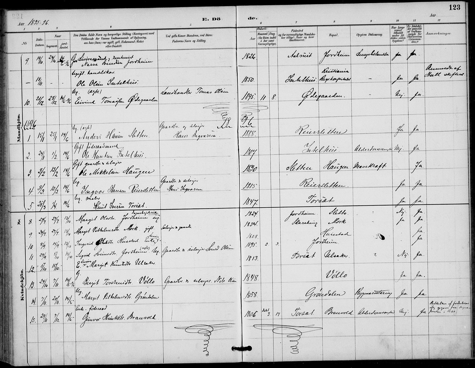 Gol kirkebøker, AV/SAKO-A-226/F/Fb/L0001: Ministerialbok nr. II 1, 1887-1900, s. 123