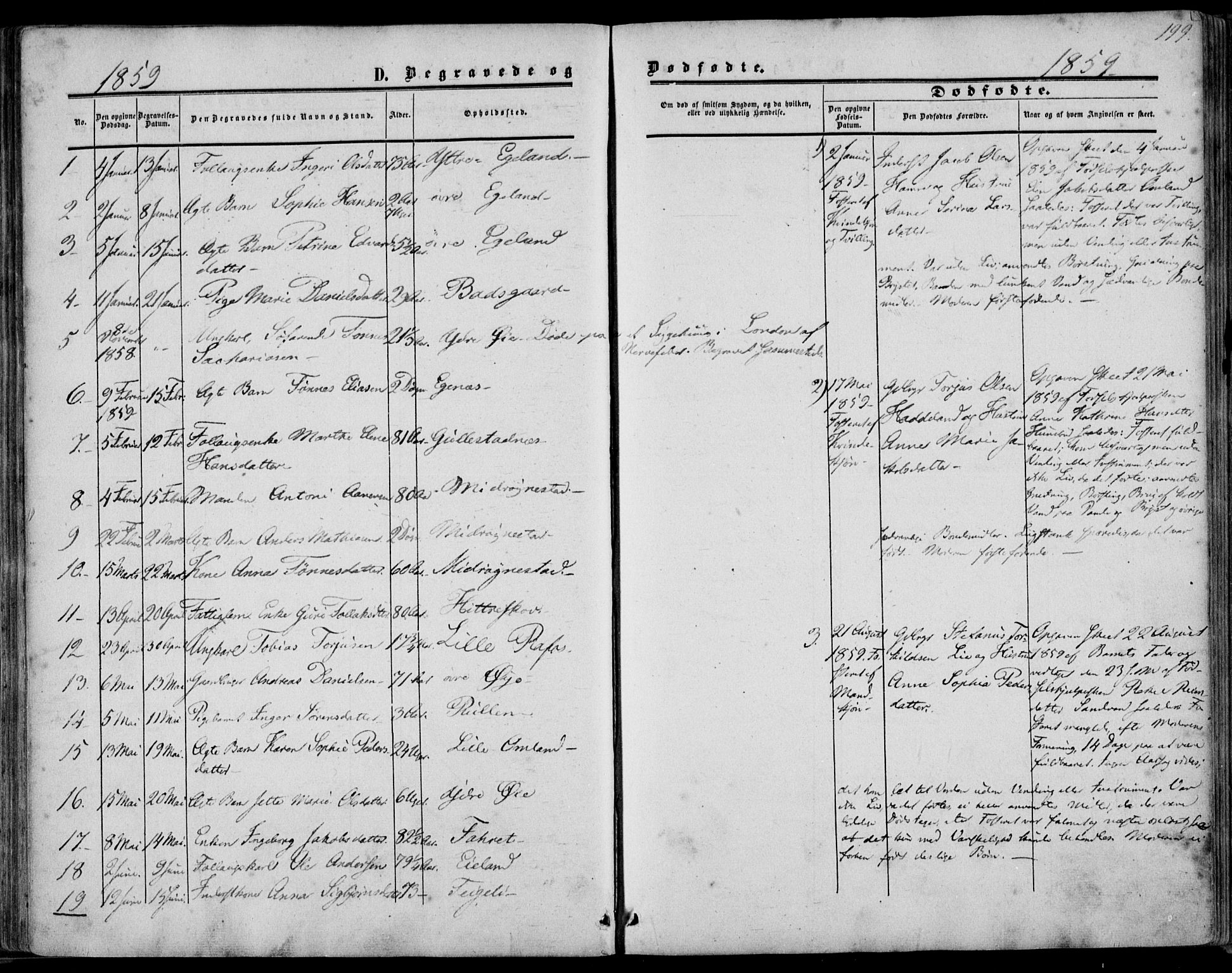Kvinesdal sokneprestkontor, SAK/1111-0026/F/Fa/Fab/L0006: Ministerialbok nr. A 6, 1857-1869, s. 199