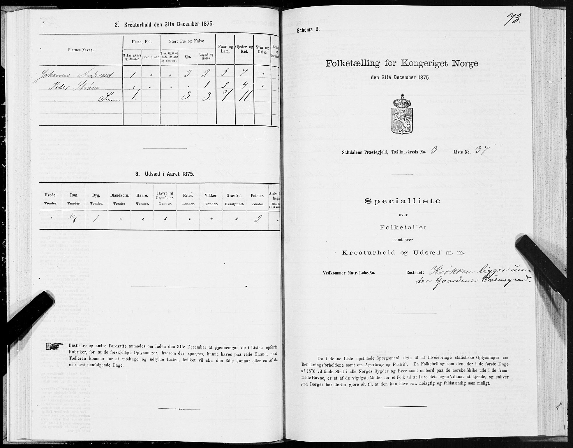 SAT, Folketelling 1875 for 1840P Saltdal prestegjeld, 1875, s. 2073