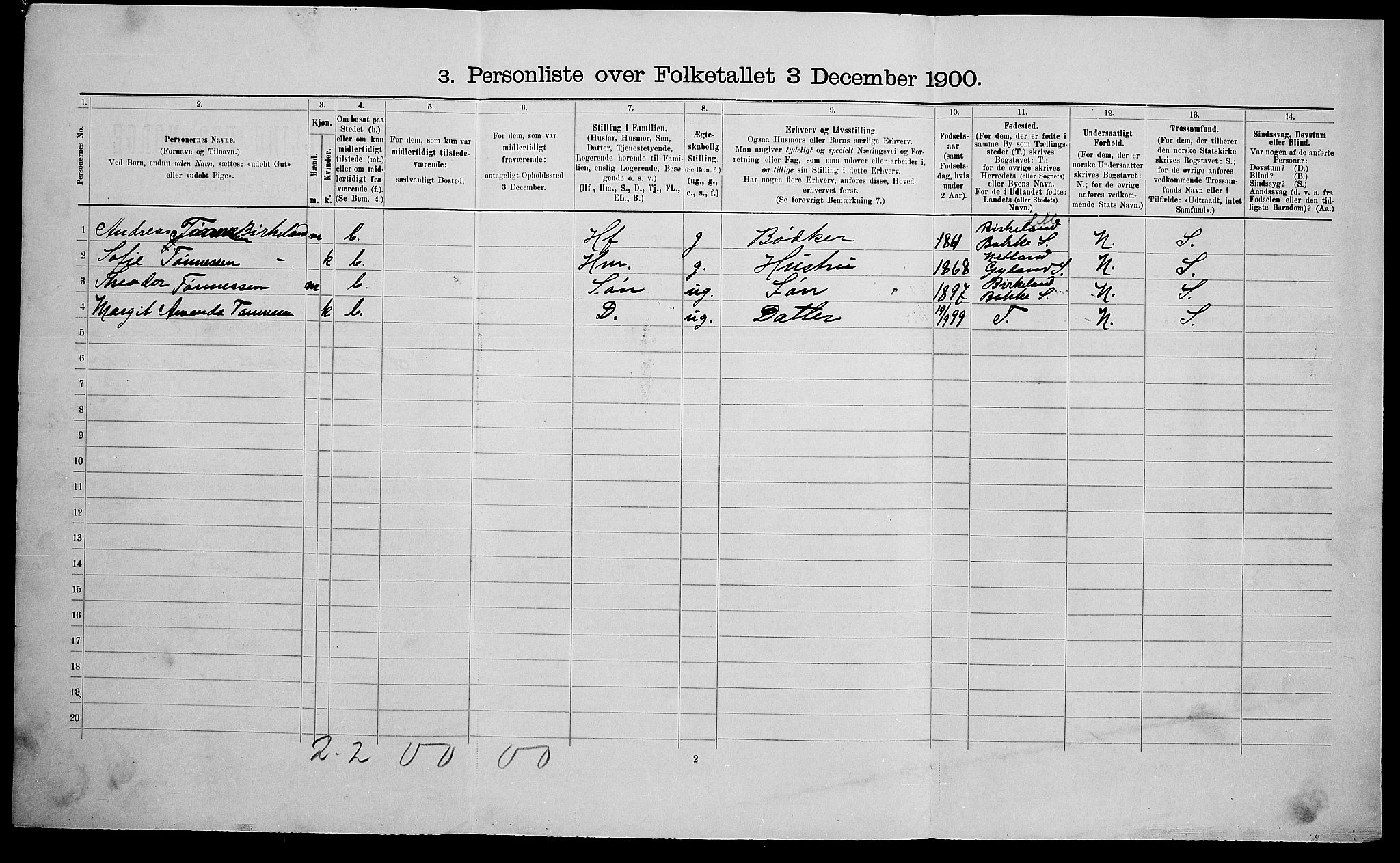 SAK, Folketelling 1900 for 1004 Flekkefjord kjøpstad, 1900, s. 1197