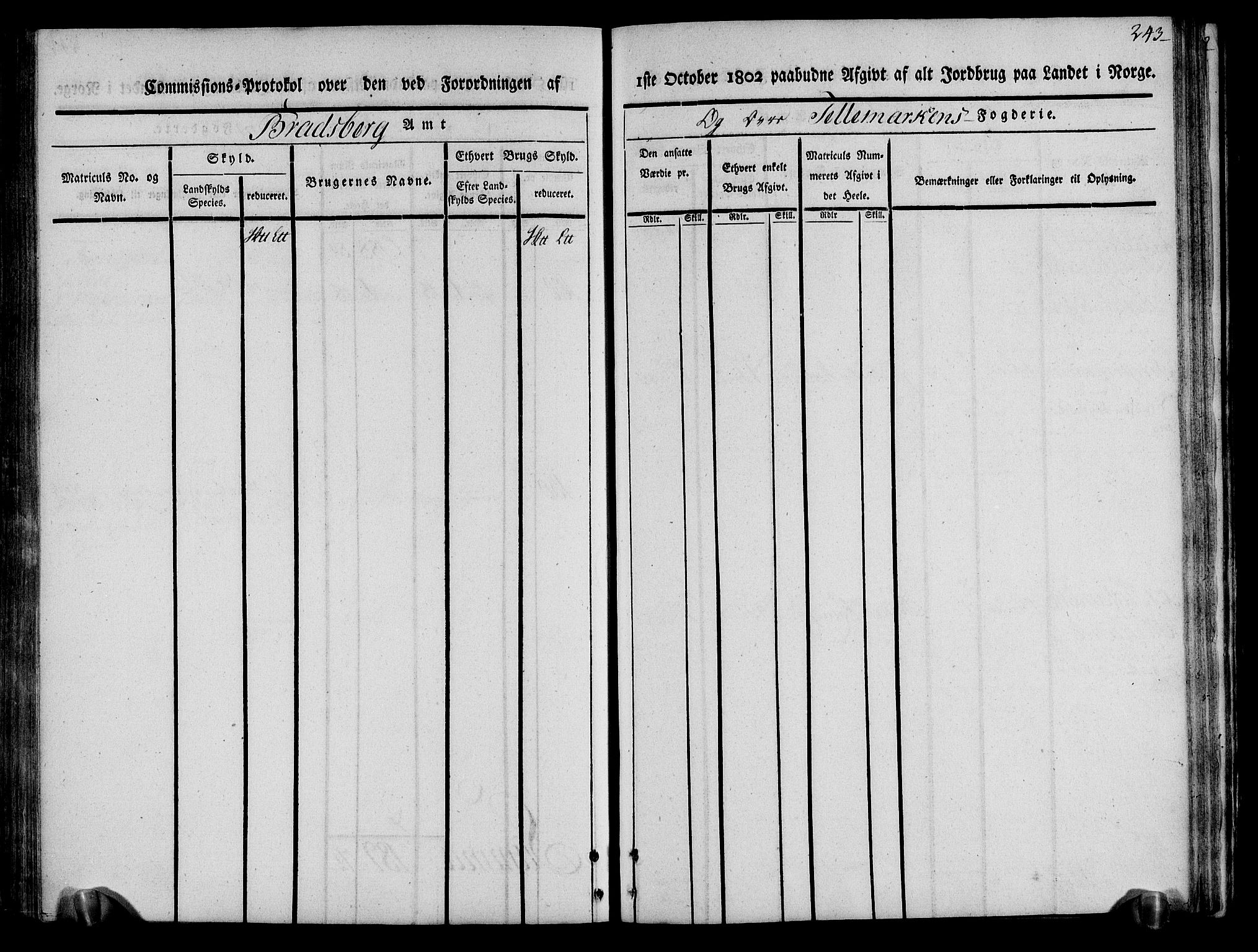 Rentekammeret inntil 1814, Realistisk ordnet avdeling, RA/EA-4070/N/Ne/Nea/L0075: Øvre Telemarken fogderi. Kommisjonsprotokoll for fogderiets vestre del - Kviteseid, Vinje, Moland [):Fyresdal] og Lårdal prestegjeld., 1803, s. 245