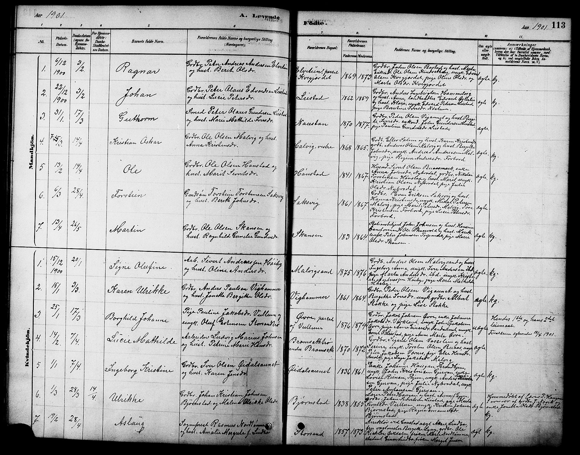 Ministerialprotokoller, klokkerbøker og fødselsregistre - Sør-Trøndelag, SAT/A-1456/616/L0423: Klokkerbok nr. 616C06, 1878-1903, s. 113
