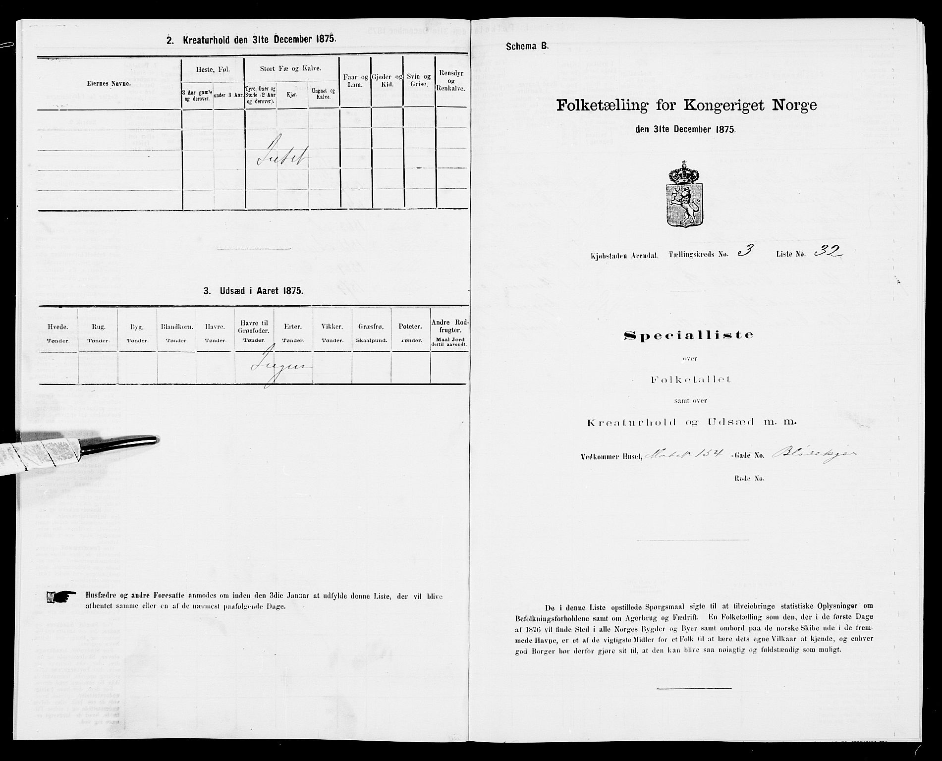 SAK, Folketelling 1875 for 0903P Arendal prestegjeld, 1875, s. 81